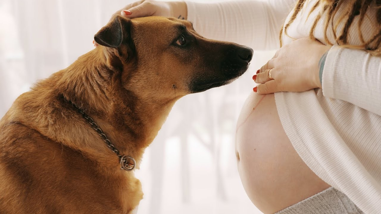 Катя. Фото и видео съемка