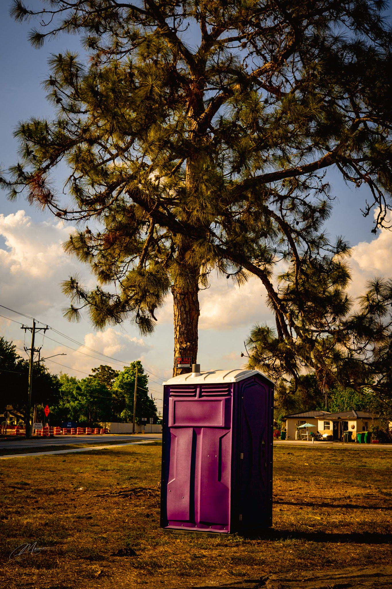 Americana — Immokolee. Out and About 239