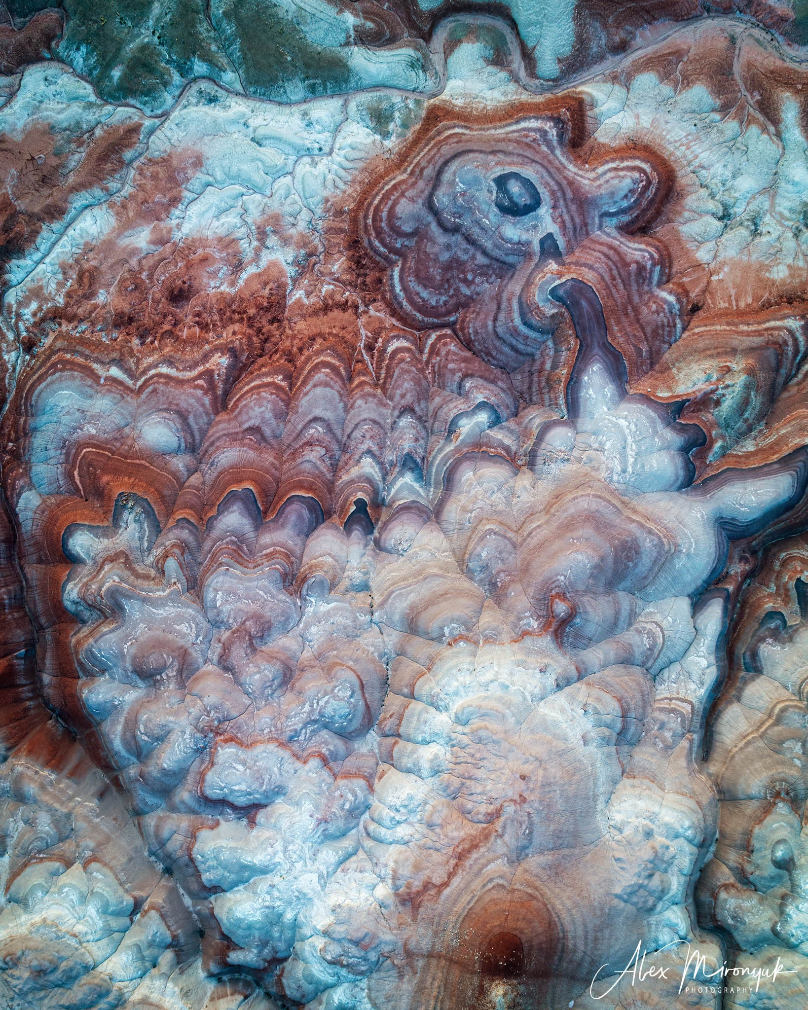 Eagle’s View: The American Southwest. Pet, Senior, Landscape, portrait studio, photographer in Miami and Sou