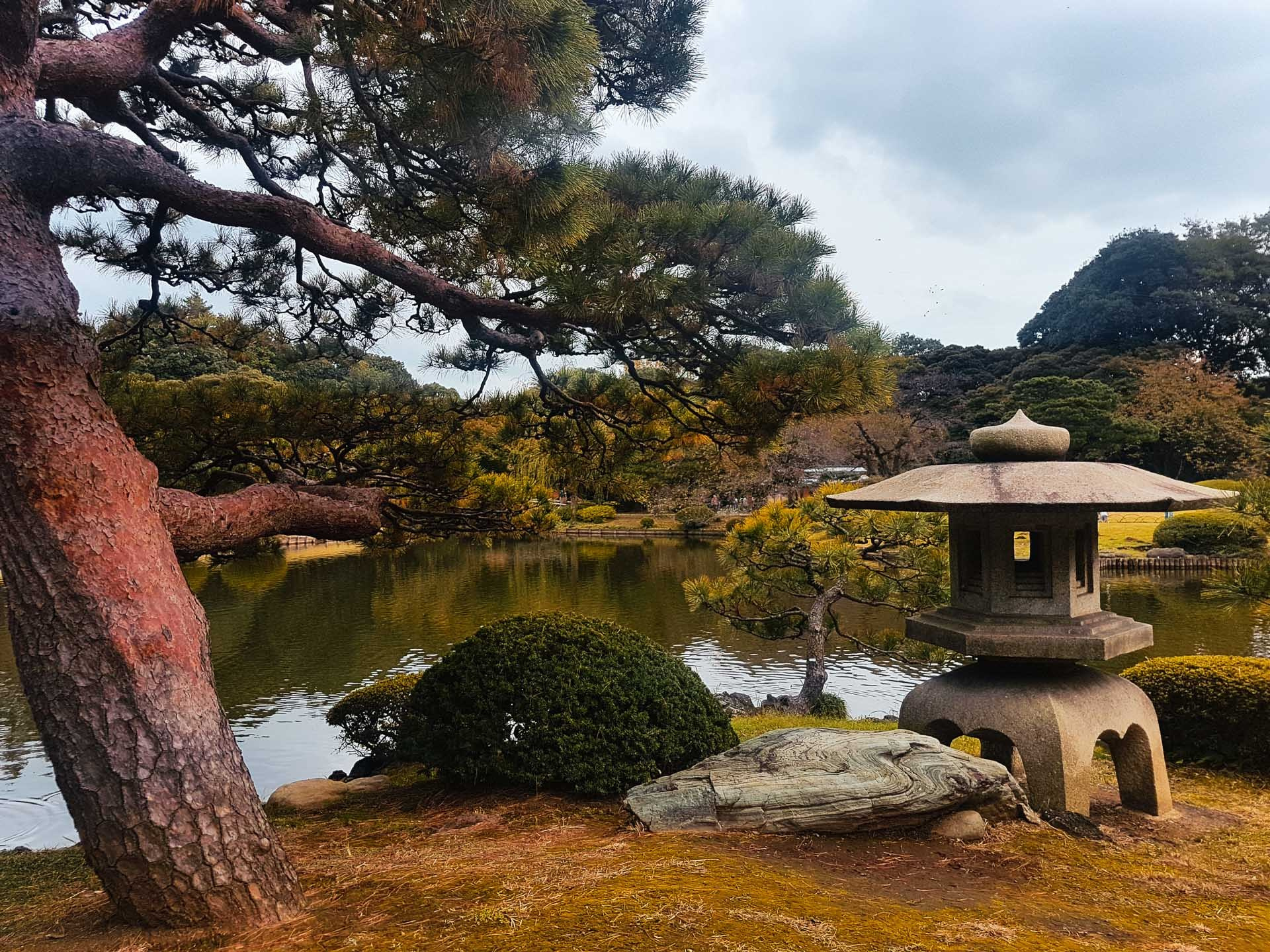 Tokyo Travel Photography Guide: Best Districts, Attractions & Tips