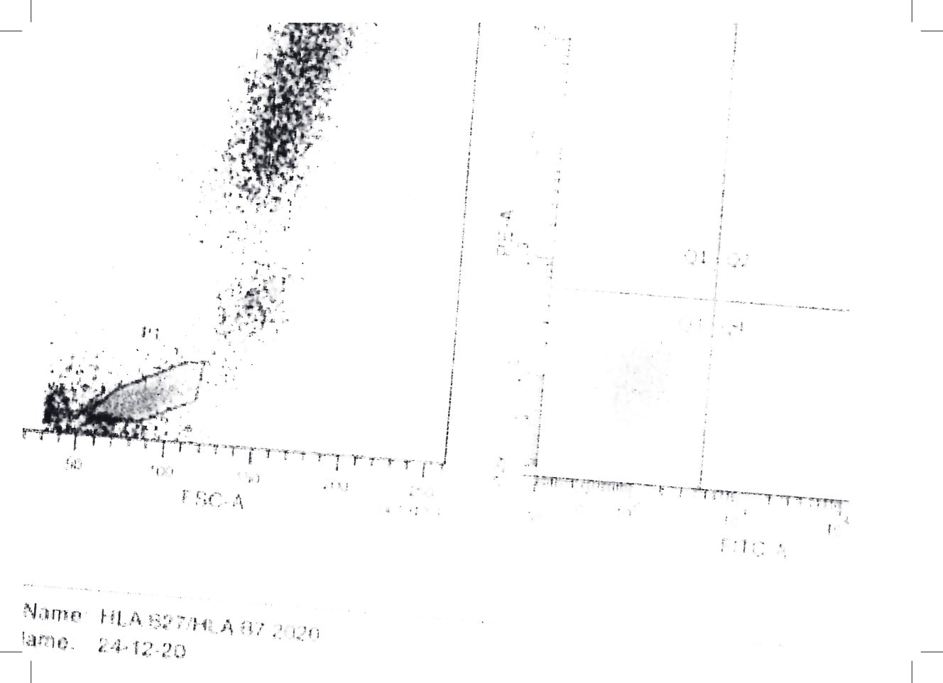 Малетина. DOCULAB — Лаборатория документальной фотографии в Берлине