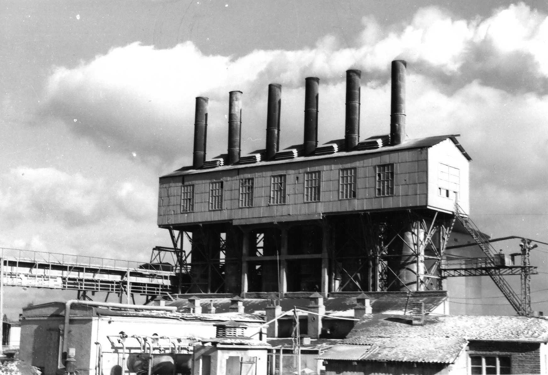 Projekty. Vector design studio Czesław Zubelewicz