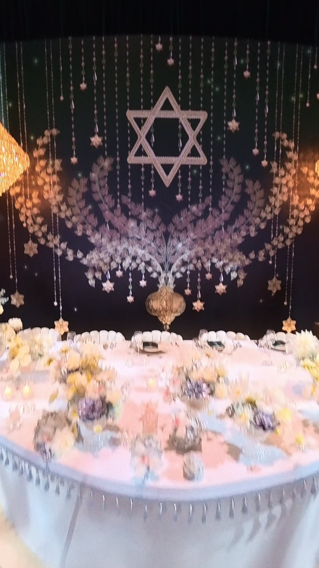 DANIEL. Фотографы на свадьбы и мероприятия Студия «Шалом»