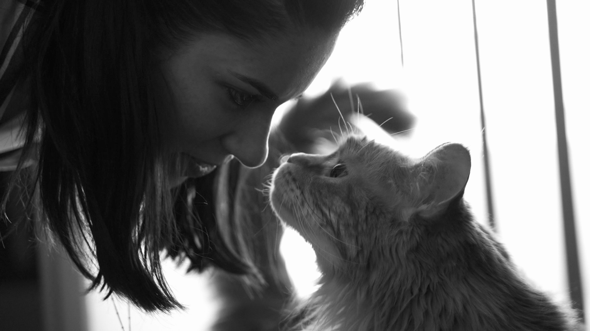 Snapshots. Annecy Film — Videography, Vidéaste Kate CRAMON in Annecy and Geneva