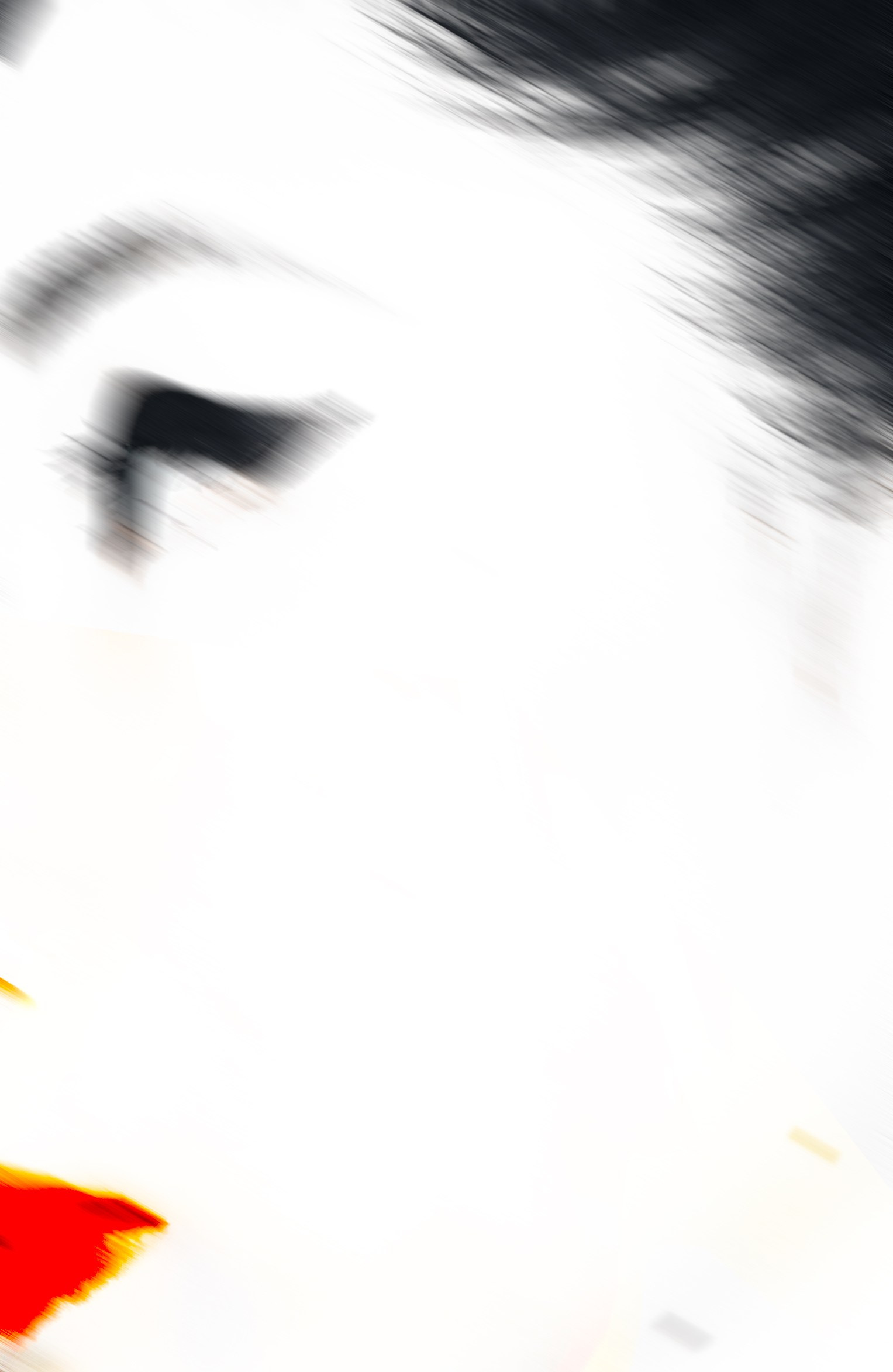 SAKO PROJECT. Anna Miyauchi