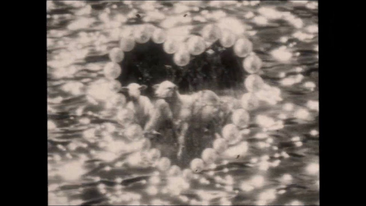 La hija de Dave Grohl inicia su propia carrera: Violet, de 19 años, firma con Republic Records | FOTKAI