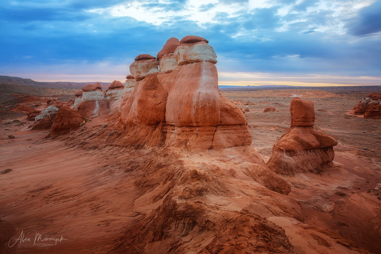 Eagle’s View: The American Southwest. Pet, Senior, Landscape, portrait studio, photographer in Miami and Sou