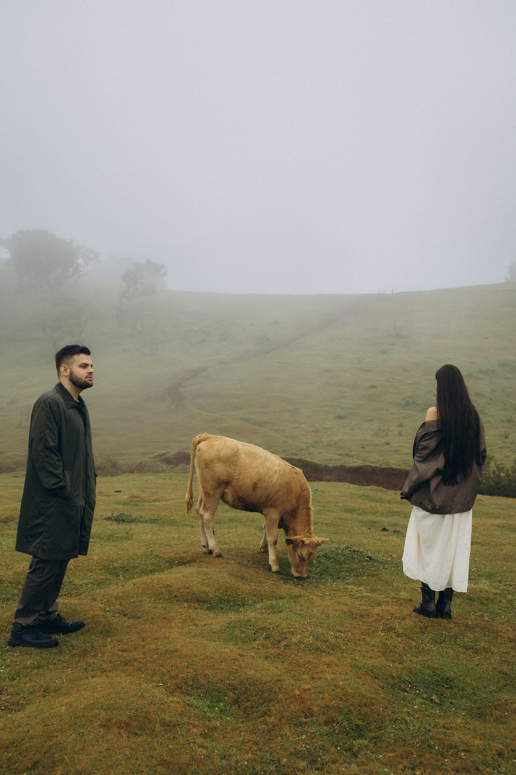 Love Story in Fanal Forest, Madeira | Romantic Couple Photoshoot
