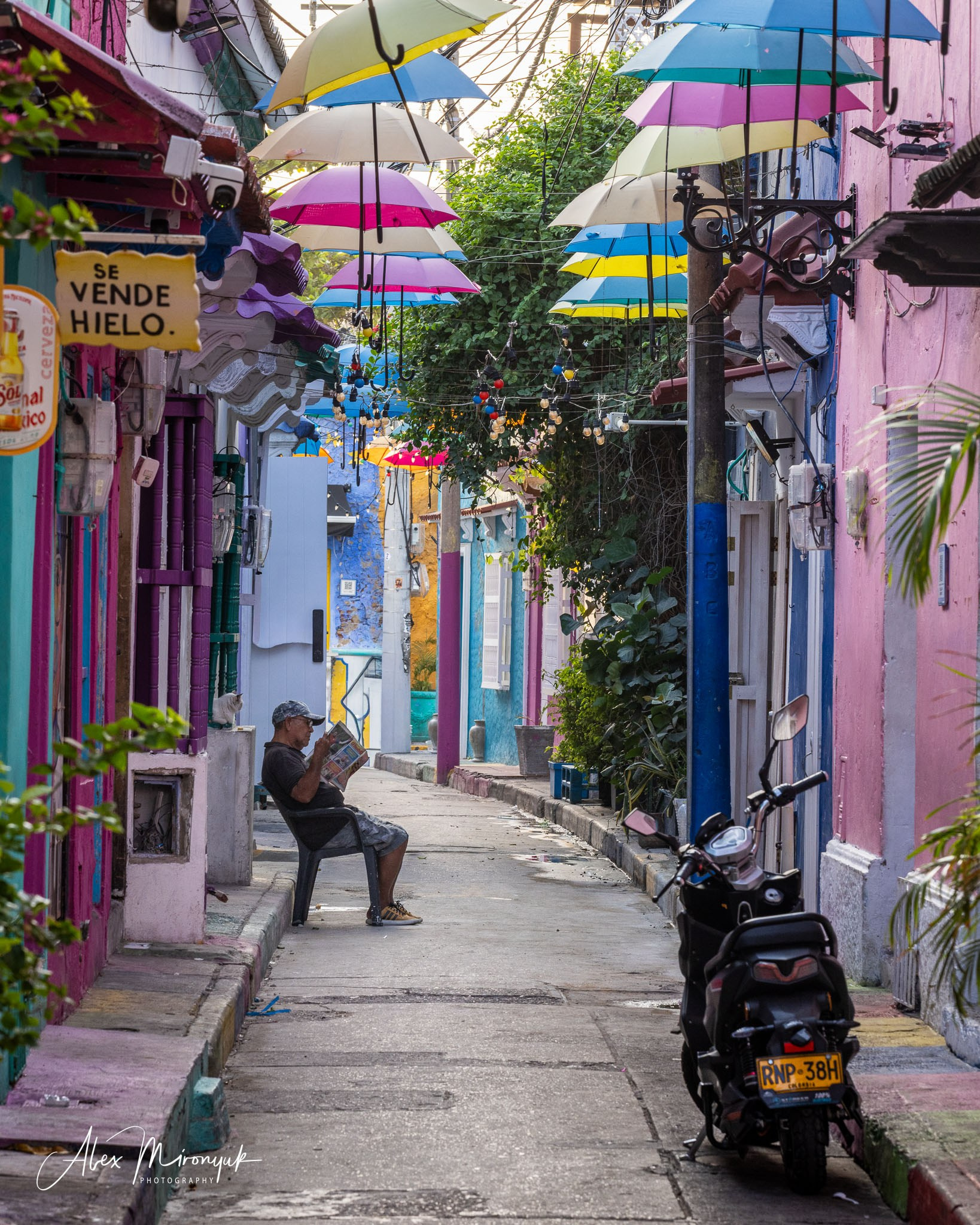 Colombia in Style. Pet, Senior, Landscape, portrait studio, photographer in Miami and Sou