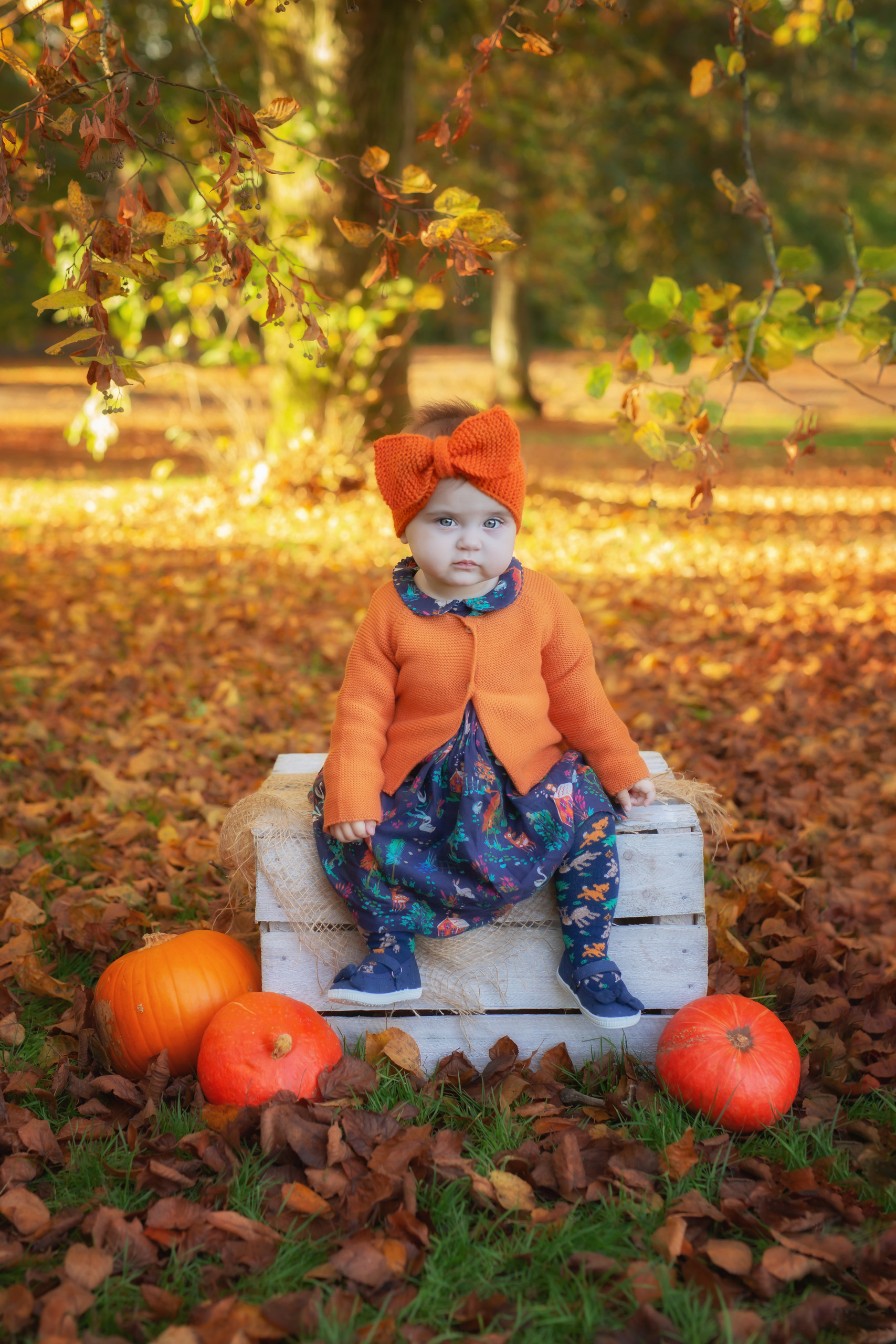 Babyfotograf hagen, Babyfotograf dortmund, babyfotograf lüdenscheid, babyfotograf schwerte, babyfotograf iserlohn, babyfotograf herdecke, babyfotograf ennepetal, babyfotograf mainerzhagen, babyfotograf gevelsberg, babyfotograf letmathe, babyfotograf hamm, Fotostudio Hagen, fotostudio iserlohn, fotostudio lüdenscheid, fotostudio iderlohn, fotostudio dortmund, fotostudio ennepetal, fotostudio hamm, fotostudio schwerte, Babyfotoshooting dortmund, Babyfotoshooting Hagen, babyfotoshooting hamm, babyfotoshooting lüdenscheid, babyfotoshooting iserlohn, babyfotoshooting schwerte, babyfotoshooting menden, babyfotoshooting hemer, babyfotograf hemer, familienfotoshooting hagen, familienfotoshooting hemer, familienfotoshooting dortmund, familienfotoshooting iserlohn, familienfotoshooting lüdenscheid, familienshooting hagen, familienshooting hemer, familienshooting iserlohn, familienshooting dortmund