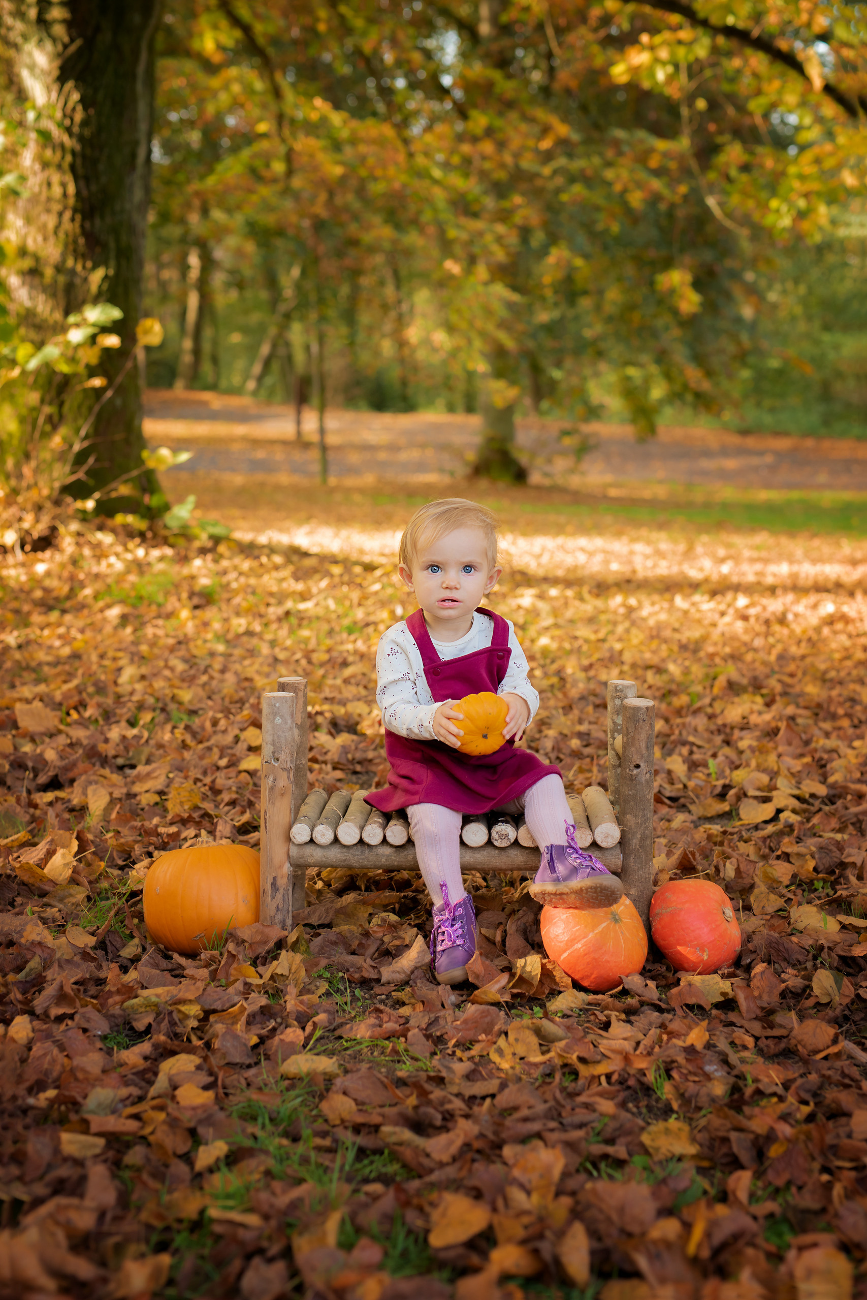 Babyfotograf hagen, Babyfotograf dortmund, babyfotograf lüdenscheid, babyfotograf schwerte, babyfotograf iserlohn, babyfotograf herdecke, babyfotograf ennepetal, babyfotograf mainerzhagen, babyfotograf gevelsberg, babyfotograf letmathe, babyfotograf hamm, Fotostudio Hagen, fotostudio iserlohn, fotostudio lüdenscheid, fotostudio iderlohn, fotostudio dortmund, fotostudio ennepetal, fotostudio hamm, fotostudio schwerte, Babyfotoshooting dortmund, Babyfotoshooting Hagen, babyfotoshooting hamm, babyfotoshooting lüdenscheid, babyfotoshooting iserlohn, babyfotoshooting schwerte, babyfotoshooting menden, babyfotoshooting hemer, babyfotograf hemer, familienfotoshooting hagen, familienfotoshooting hemer, familienfotoshooting dortmund, familienfotoshooting iserlohn, familienfotoshooting lüdenscheid, familienshooting hagen, familienshooting hemer, familienshooting iserlohn, familienshooting dortmund