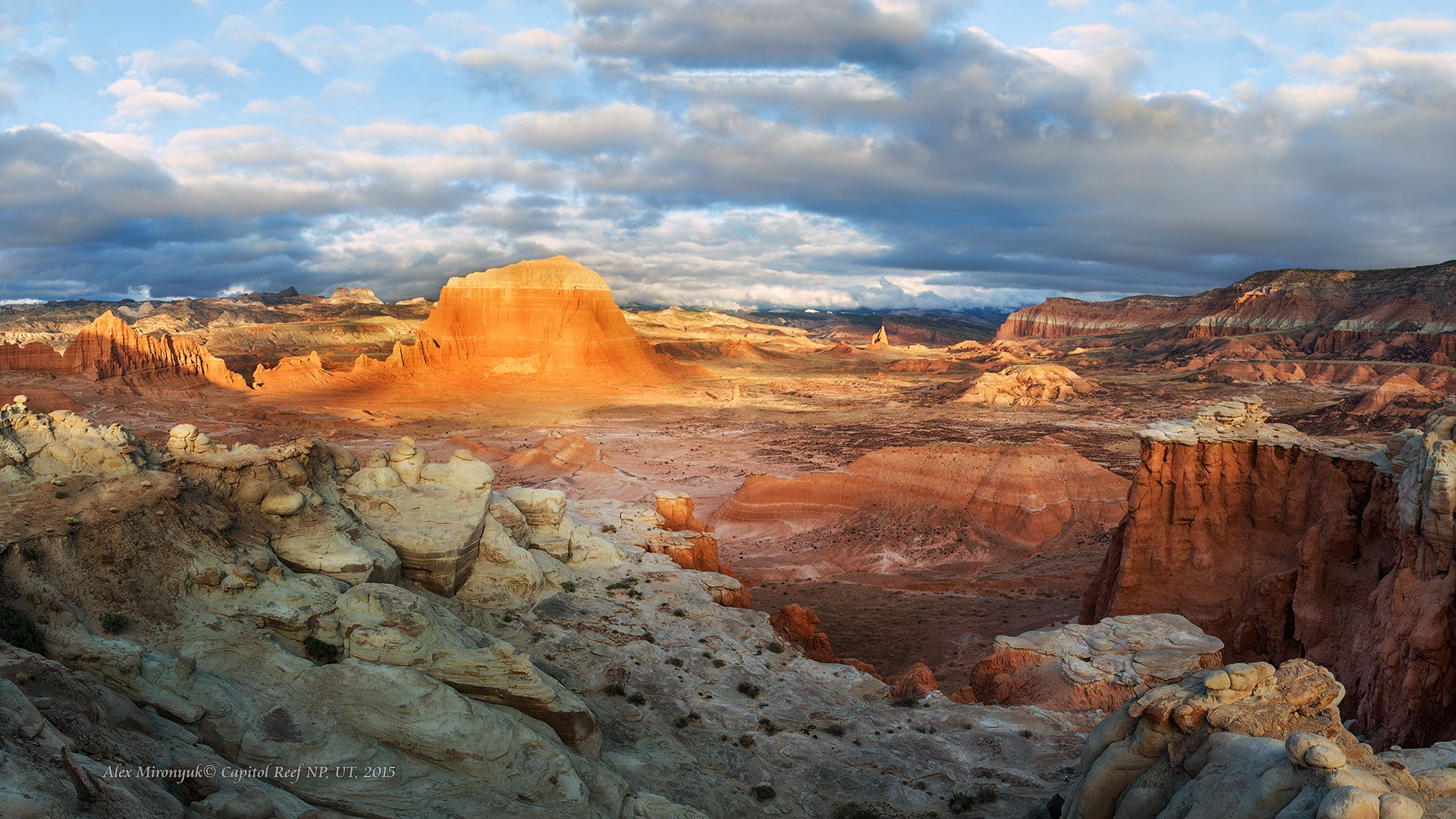 Eagle’s View: The American Southwest. Pet, Senior, Landscape, portrait studio, photographer in Miami and Sou