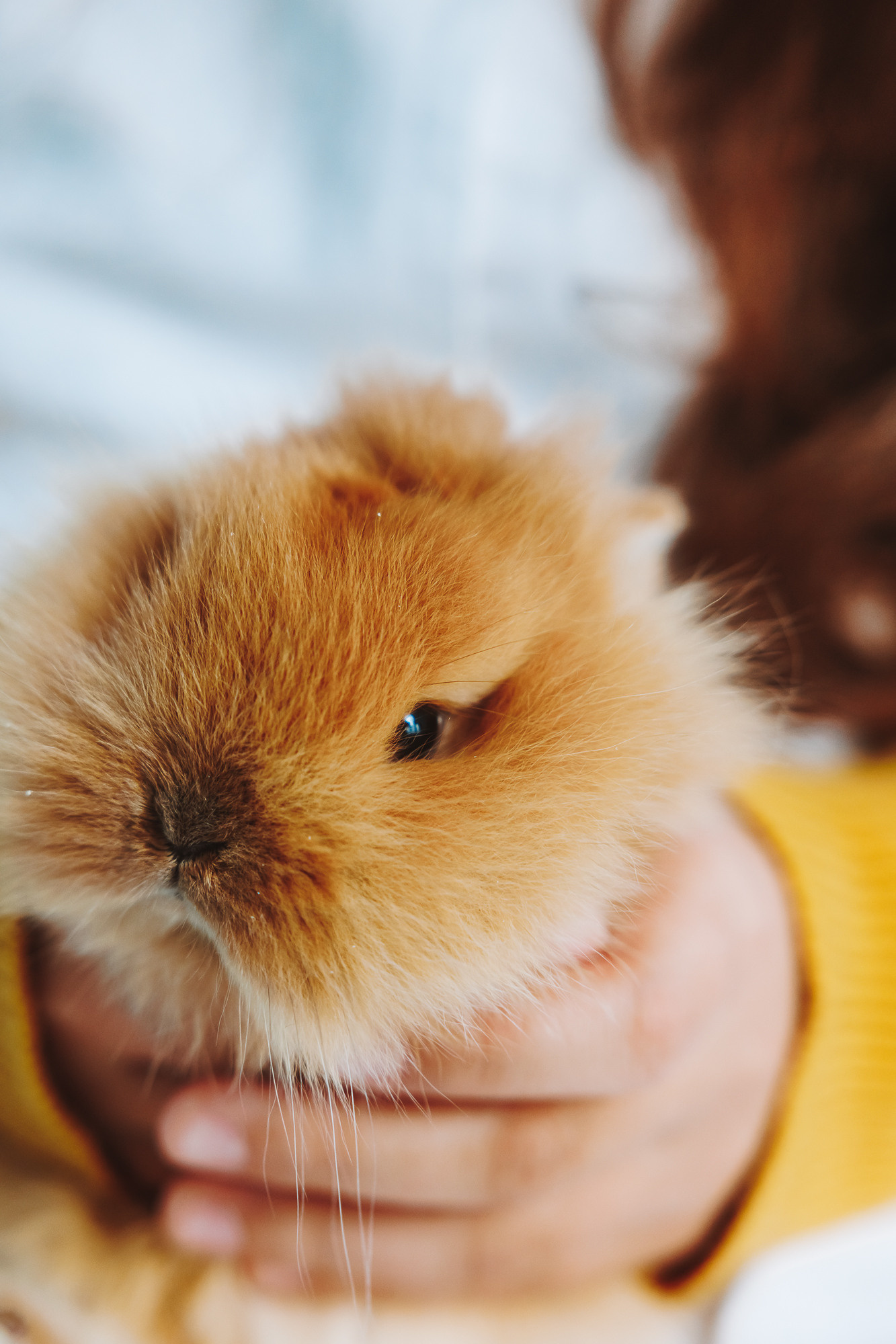 Великден. Фотограф Ирина Йотова