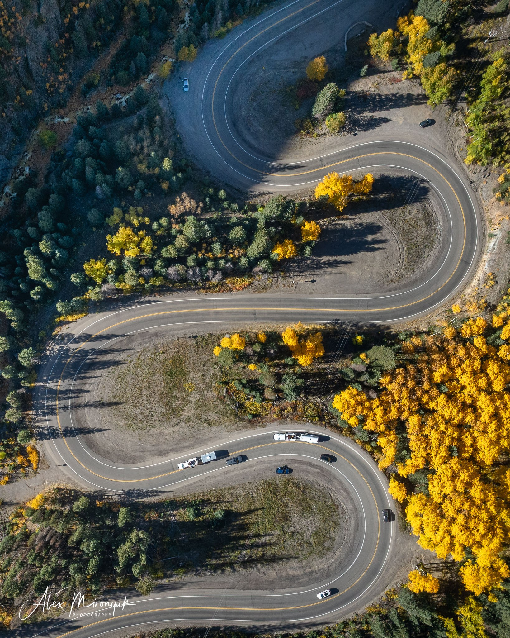 Fall Colors Of Colorado. Pet, Senior, Landscape, portrait studio, photographer in Miami and Sou