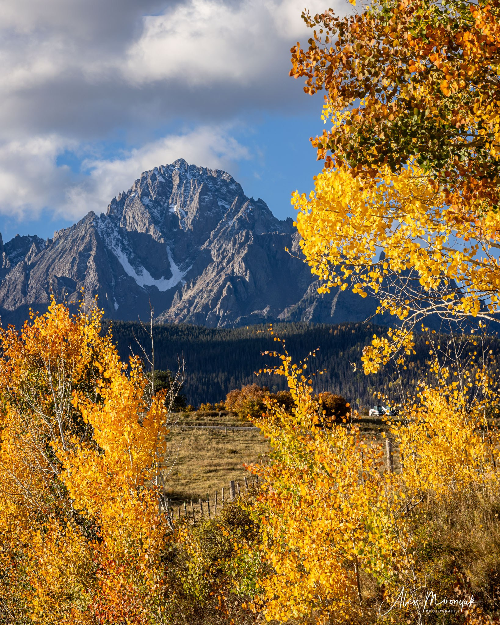 Fall Colors Of Colorado. Pet, Senior, Landscape, portrait studio, photographer in Miami and Sou
