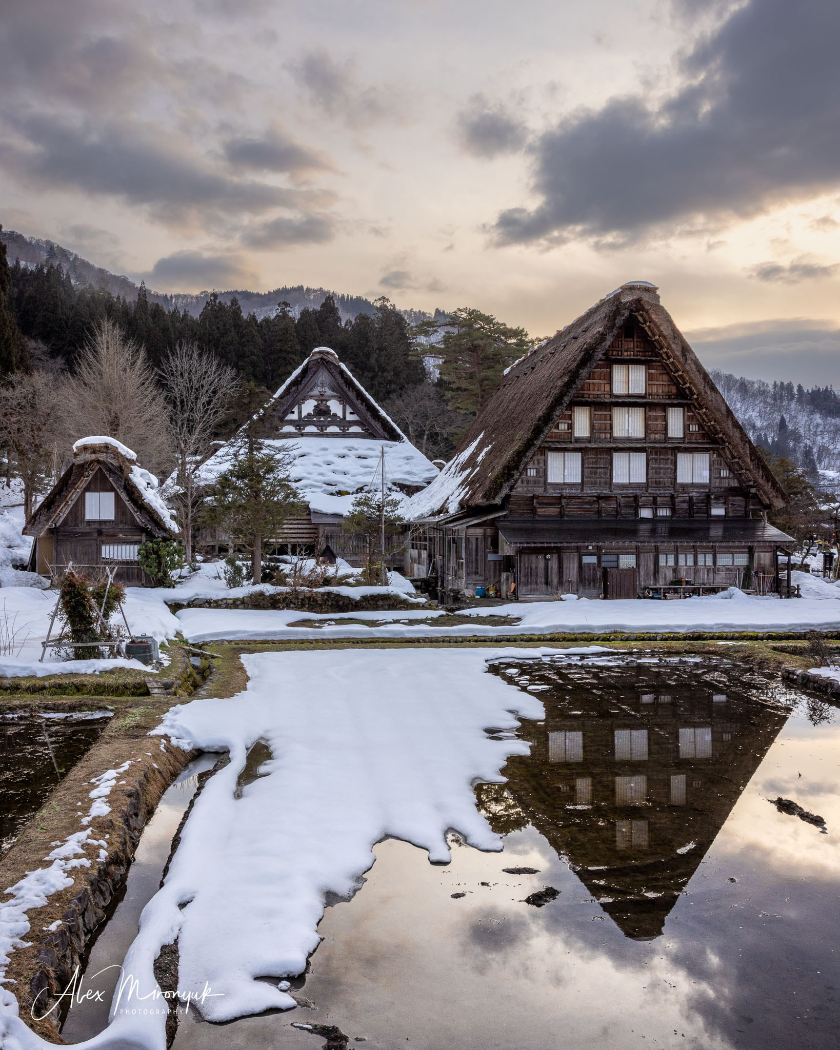 Winter Japan: Snow Monkeys, Castles & Timeless Villages. Pet, Senior, Landscape, portrait studio, photographer in Miami and Sou