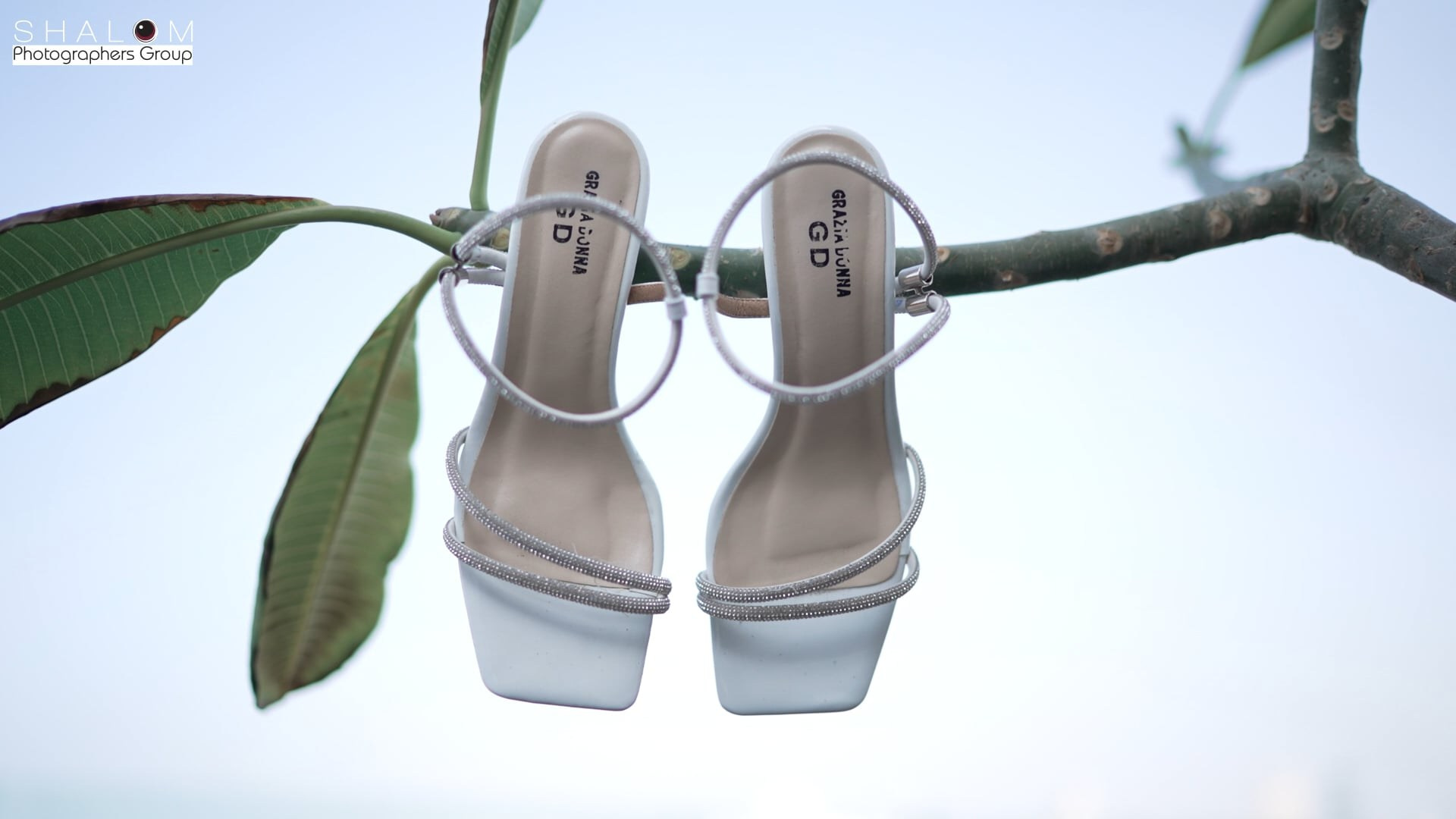 Almog & Jonatan. Wedding and events photographers Studio Shalom