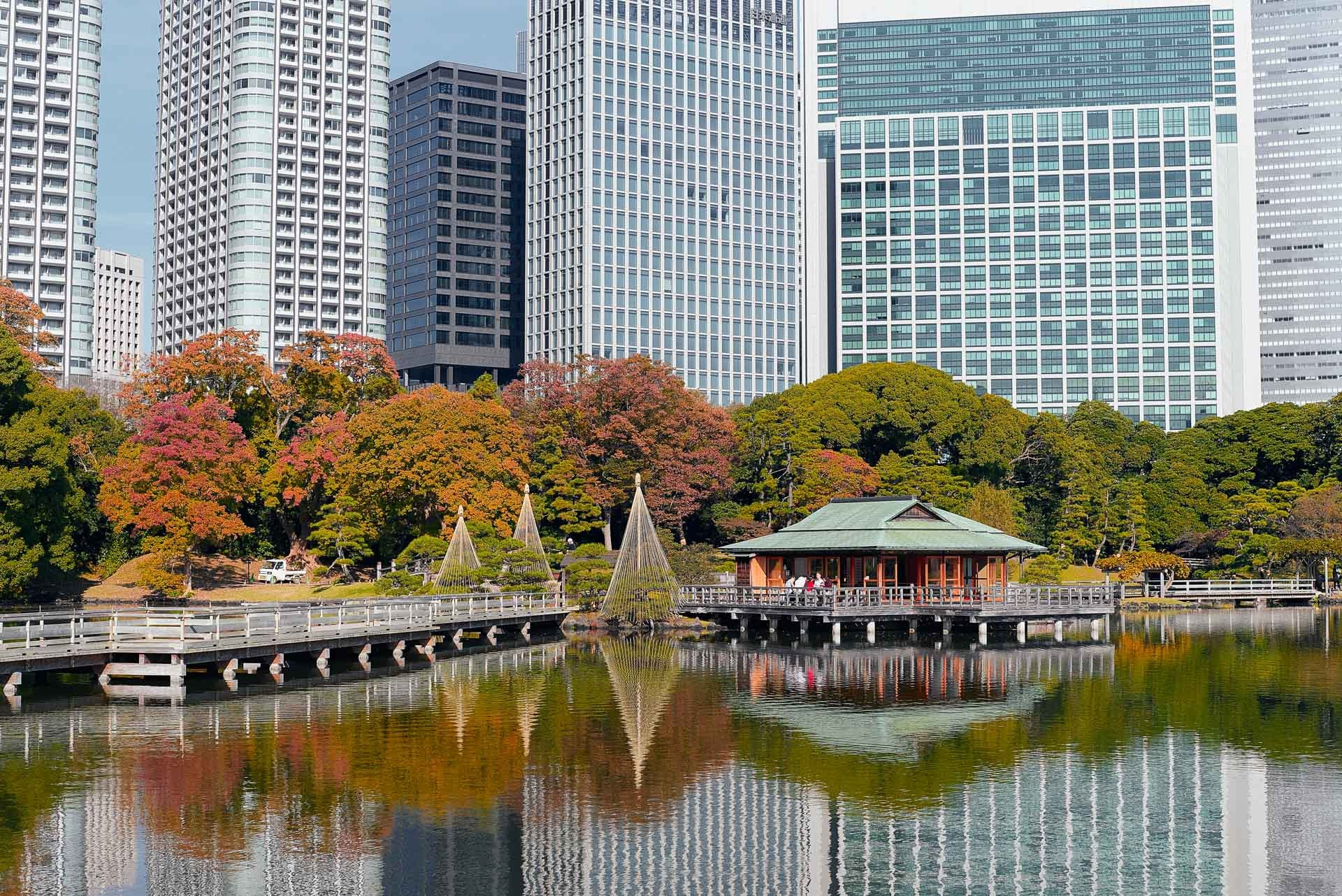 Public park in Tokyo