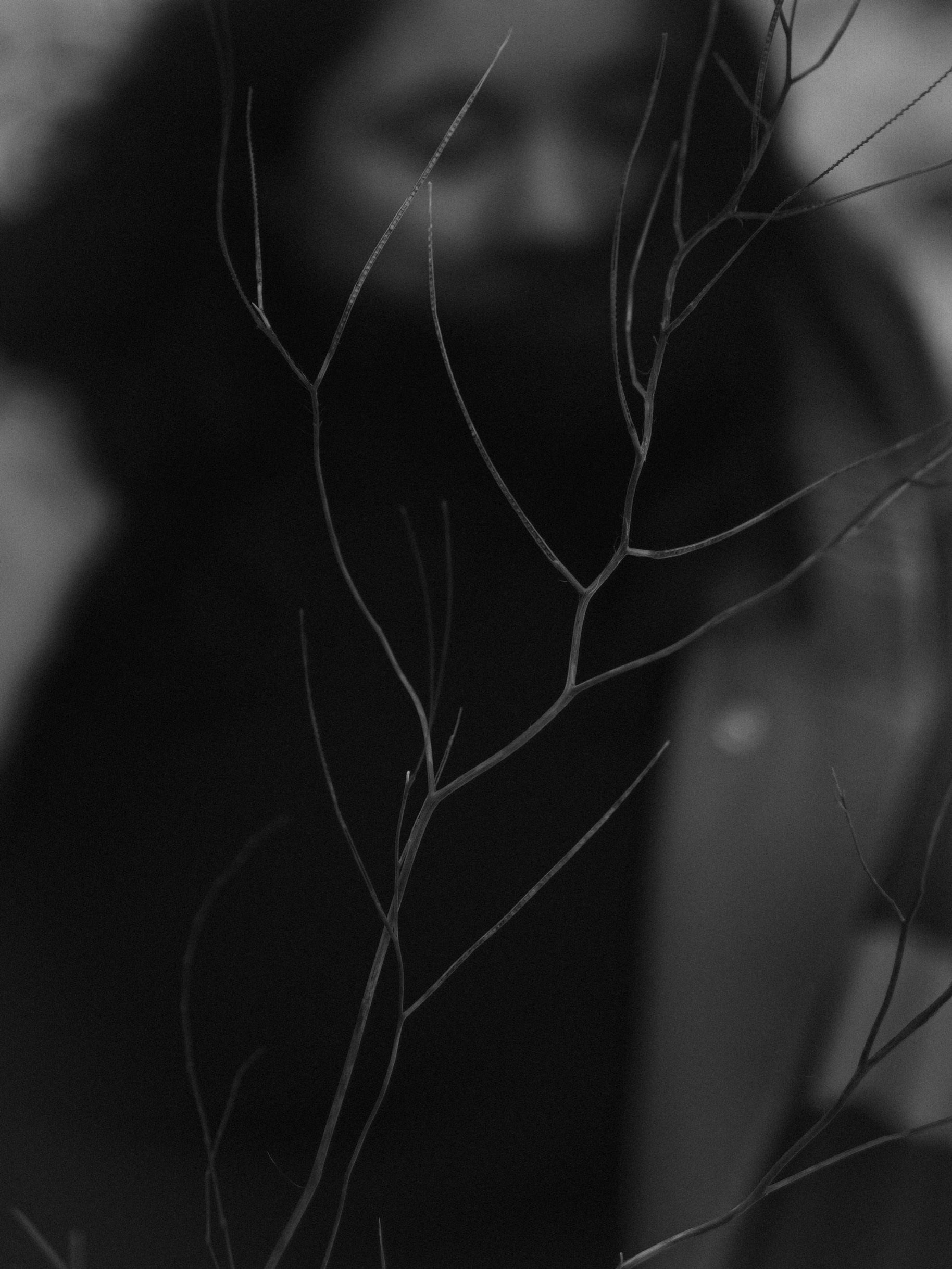 Loodus, meri, tunned. Meeste ja naiste fotograaf Tallinnas Anna Sipari