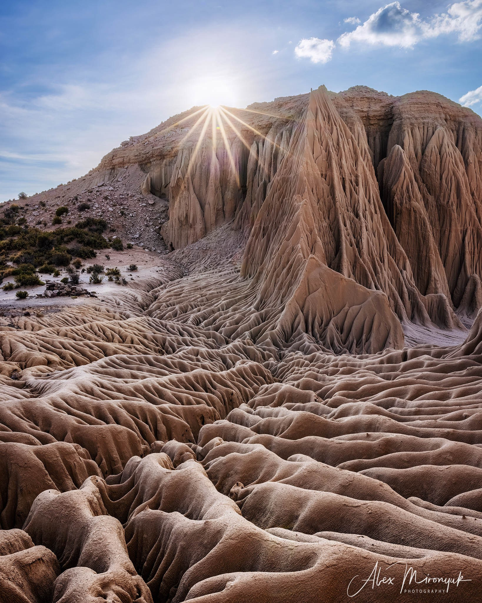Bolivia Adventure — 2025. Pet, Senior, Landscape, portrait studio, photographer in Miami and Sou