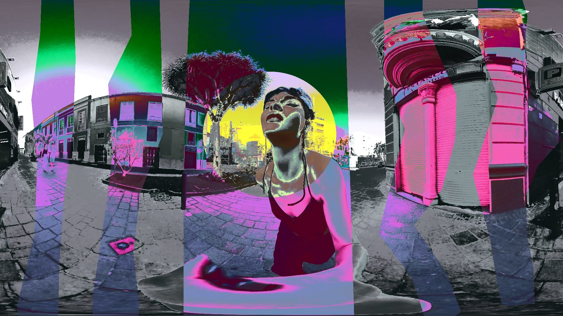 CHASING THE LIGHT. Visual Artist