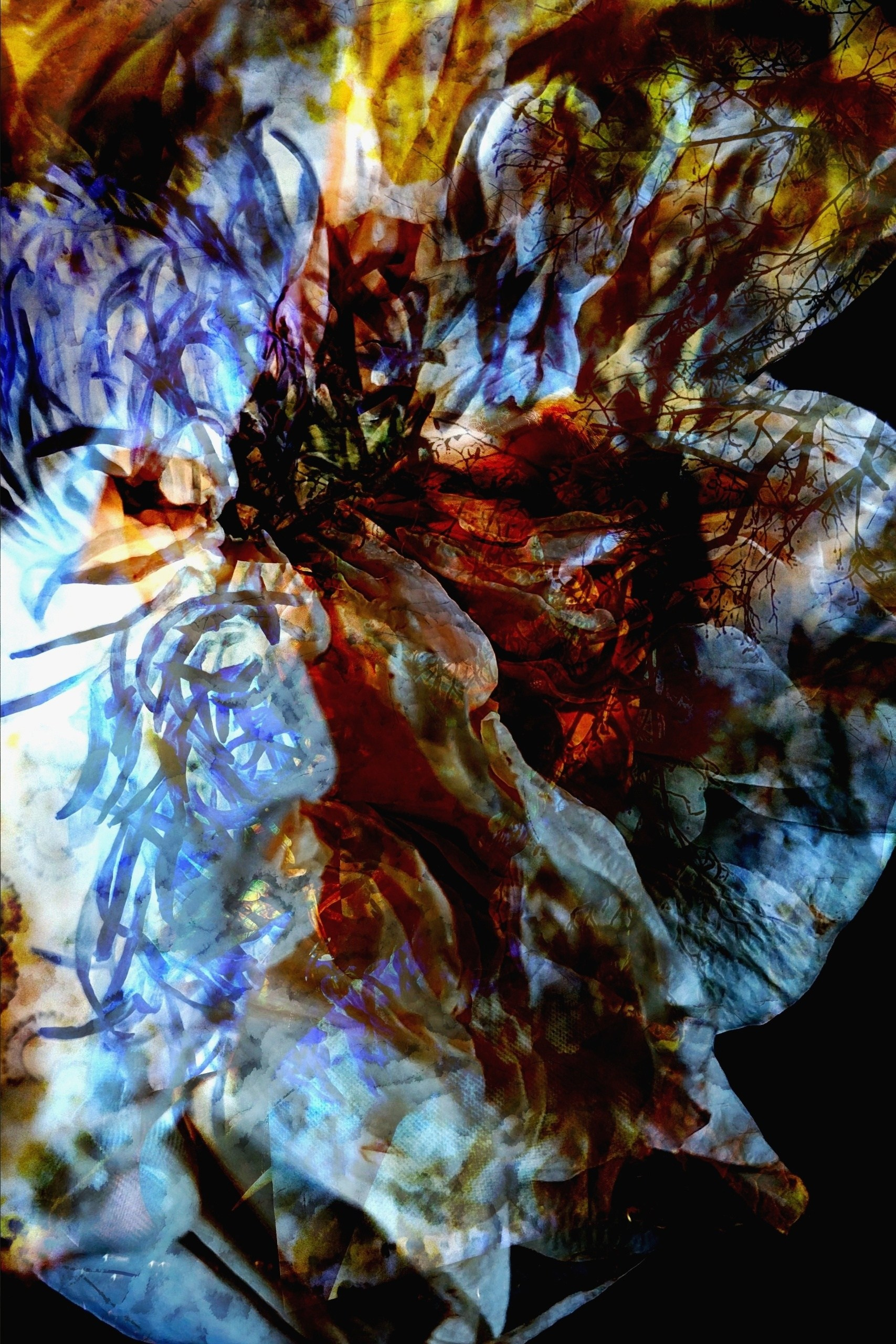 Продаж робіт. Photographer artist Liashenko Oksana