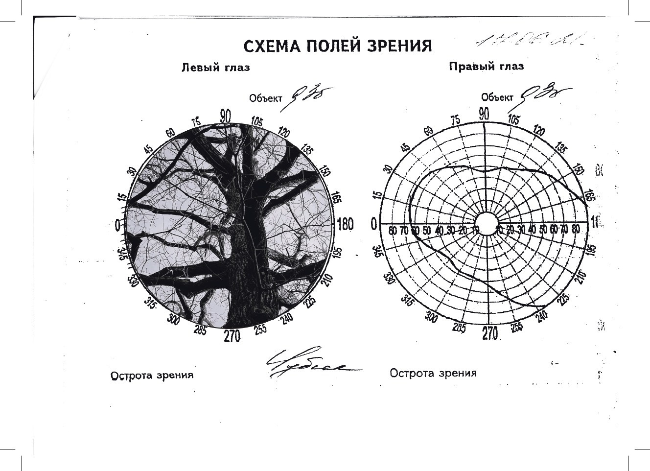 Малетина. DOCULAB — Лаборатория документальной фотографии в Берлине
