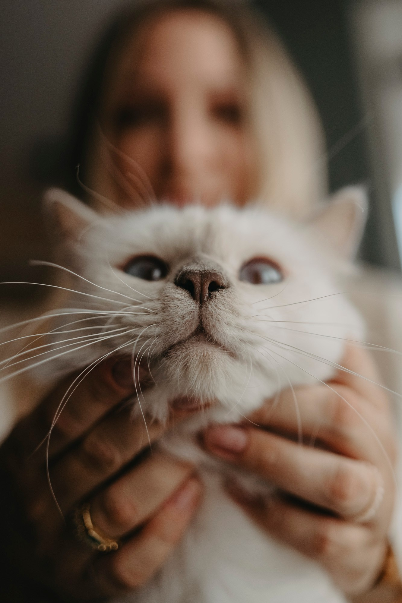 Natanael / KRSTENJE. Deciji i porodicni fotograf u Beogradu Oksana Skendzic