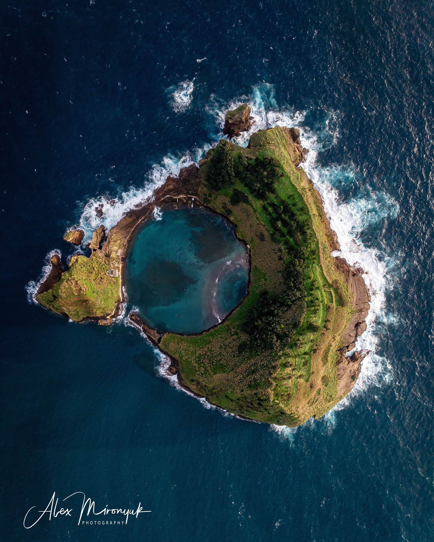 Azores And Madeira. Pet, Senior, Landscape, portrait studio, photographer in Miami and Sou