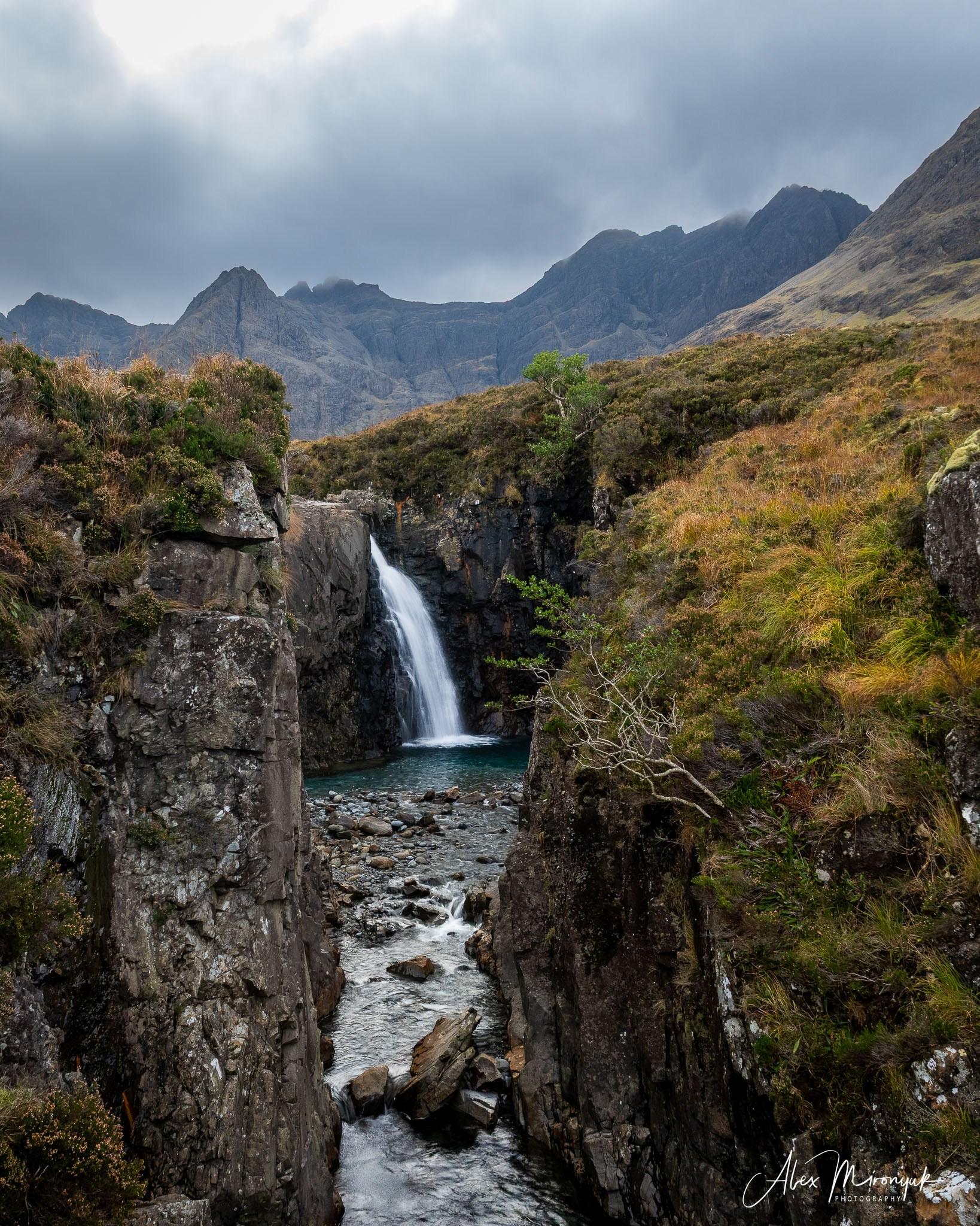 Scotland’s Highlands. Pet, Senior, Landscape, portrait studio, photographer in Miami and Sou