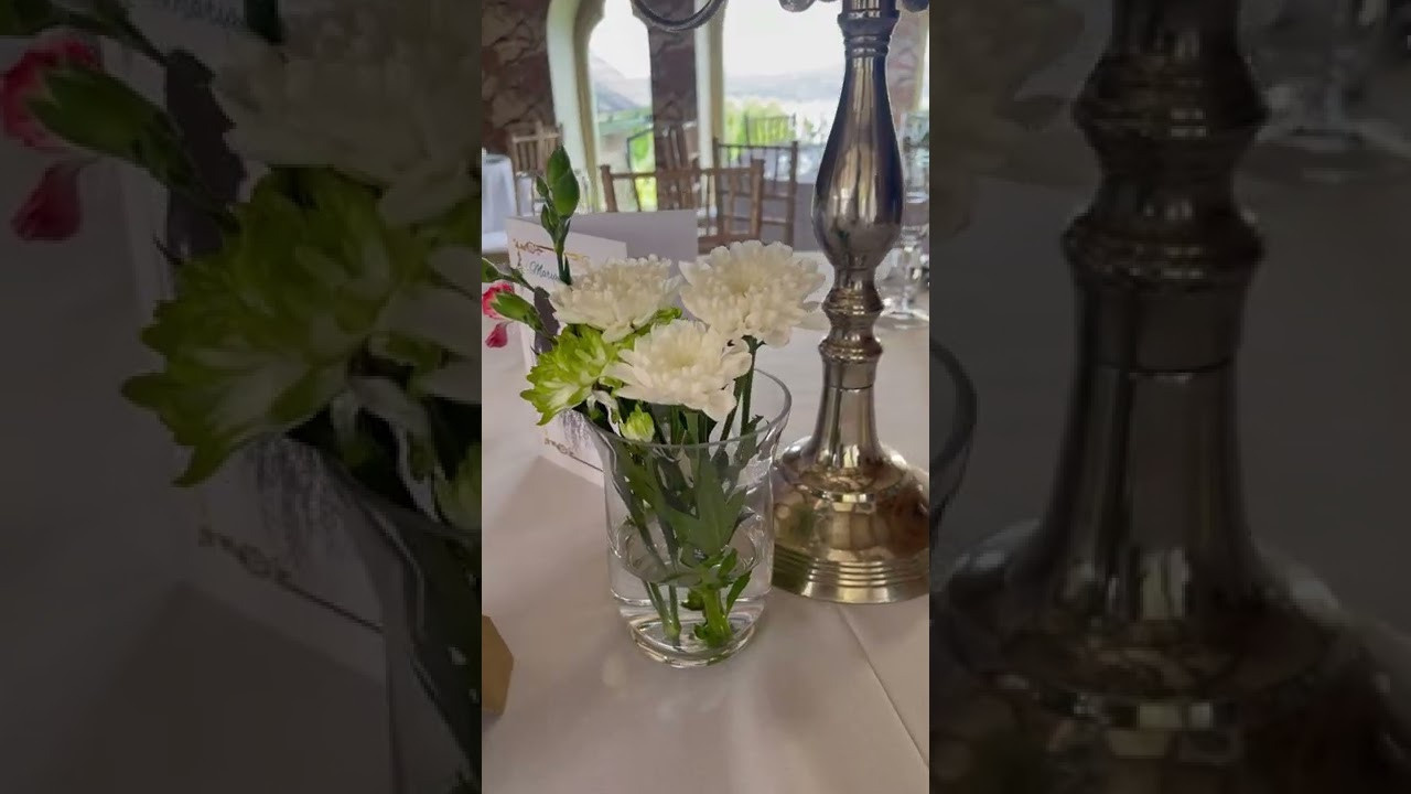 Videos. Create with Twila