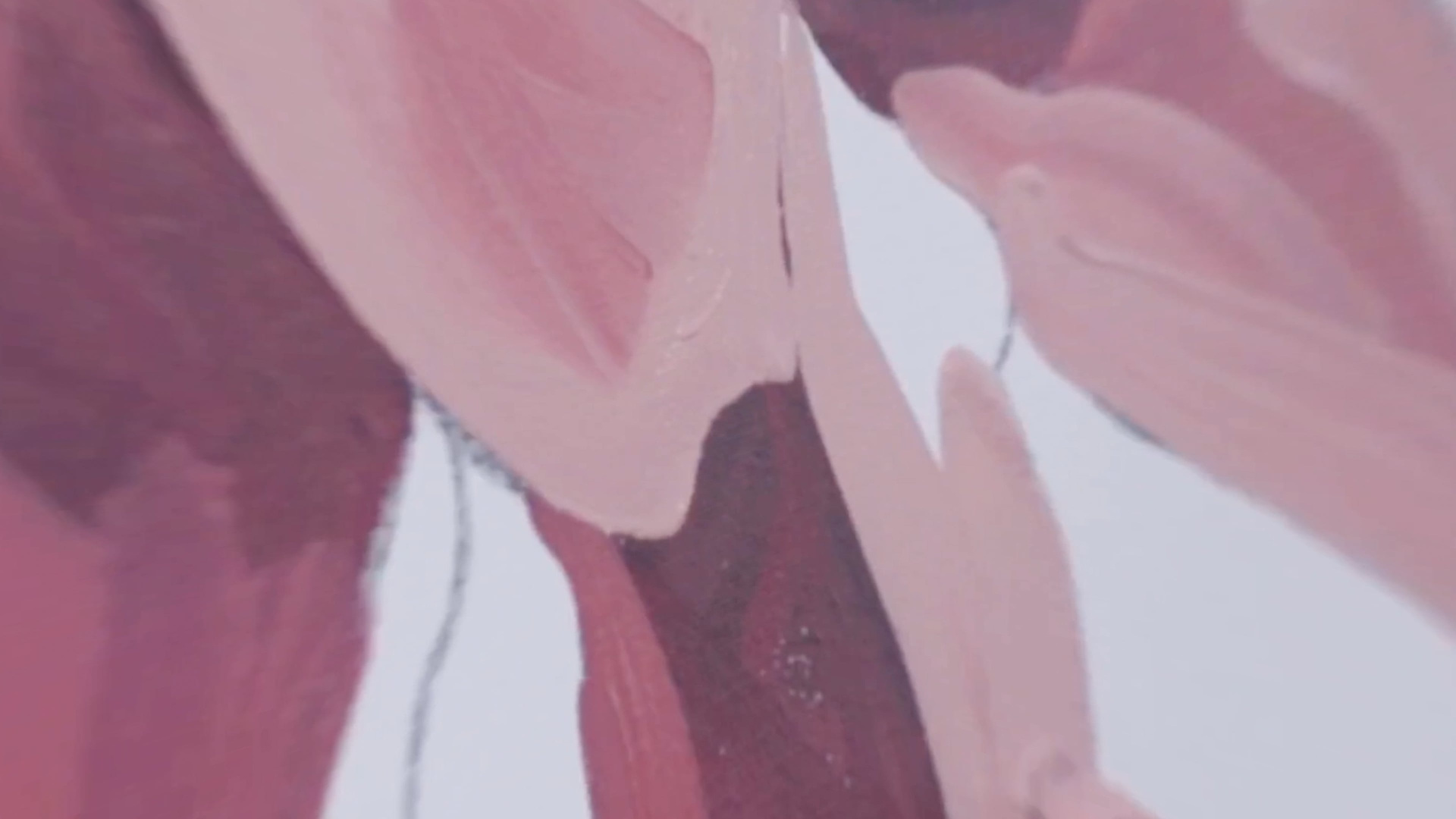 Videos. Create with Twila