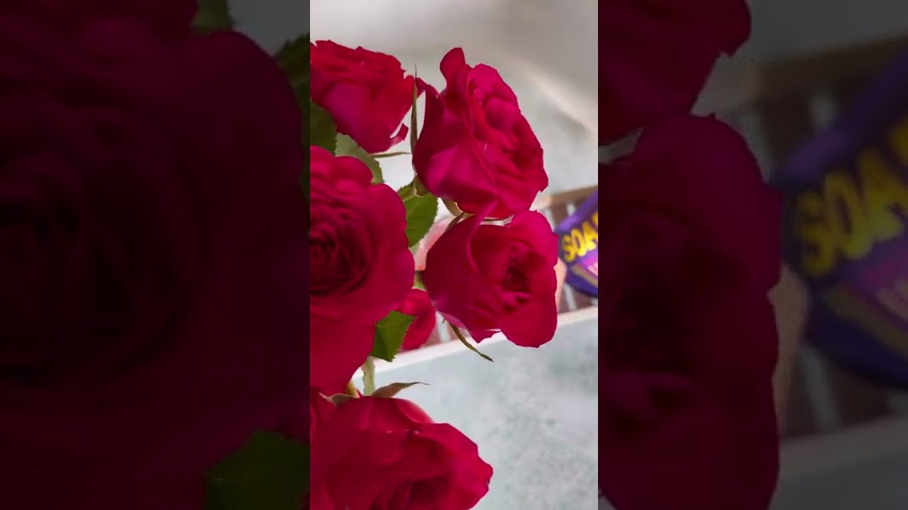 Videos. Create with Twila