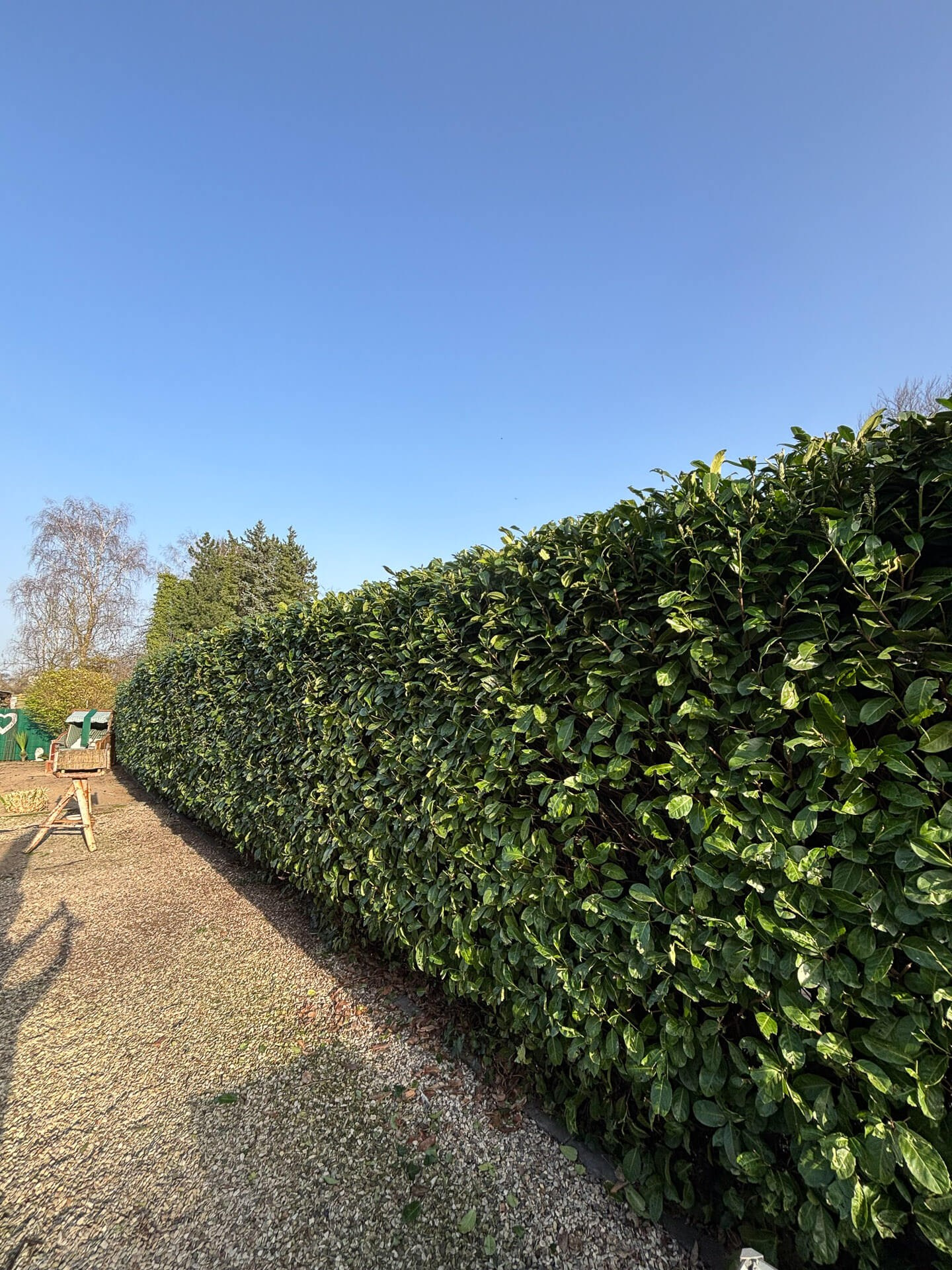 Gulda Gärtnerei - Gartenservice in Hamm, Soest, Beckum und Umgebung