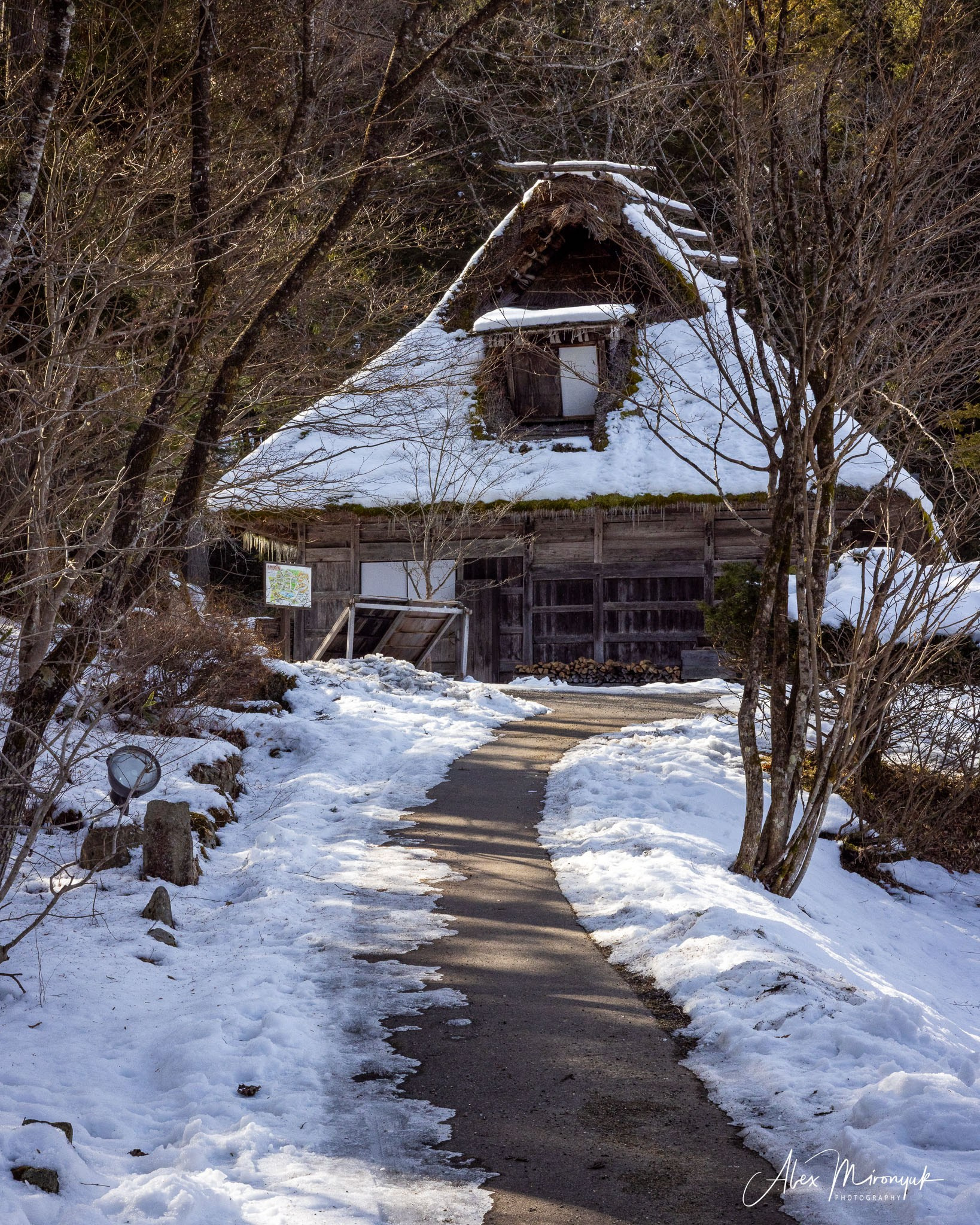 Winter Japan: Snow Monkeys, Castles & Timeless Villages. Pet, Senior, Landscape, portrait studio, photographer in Miami and Sou