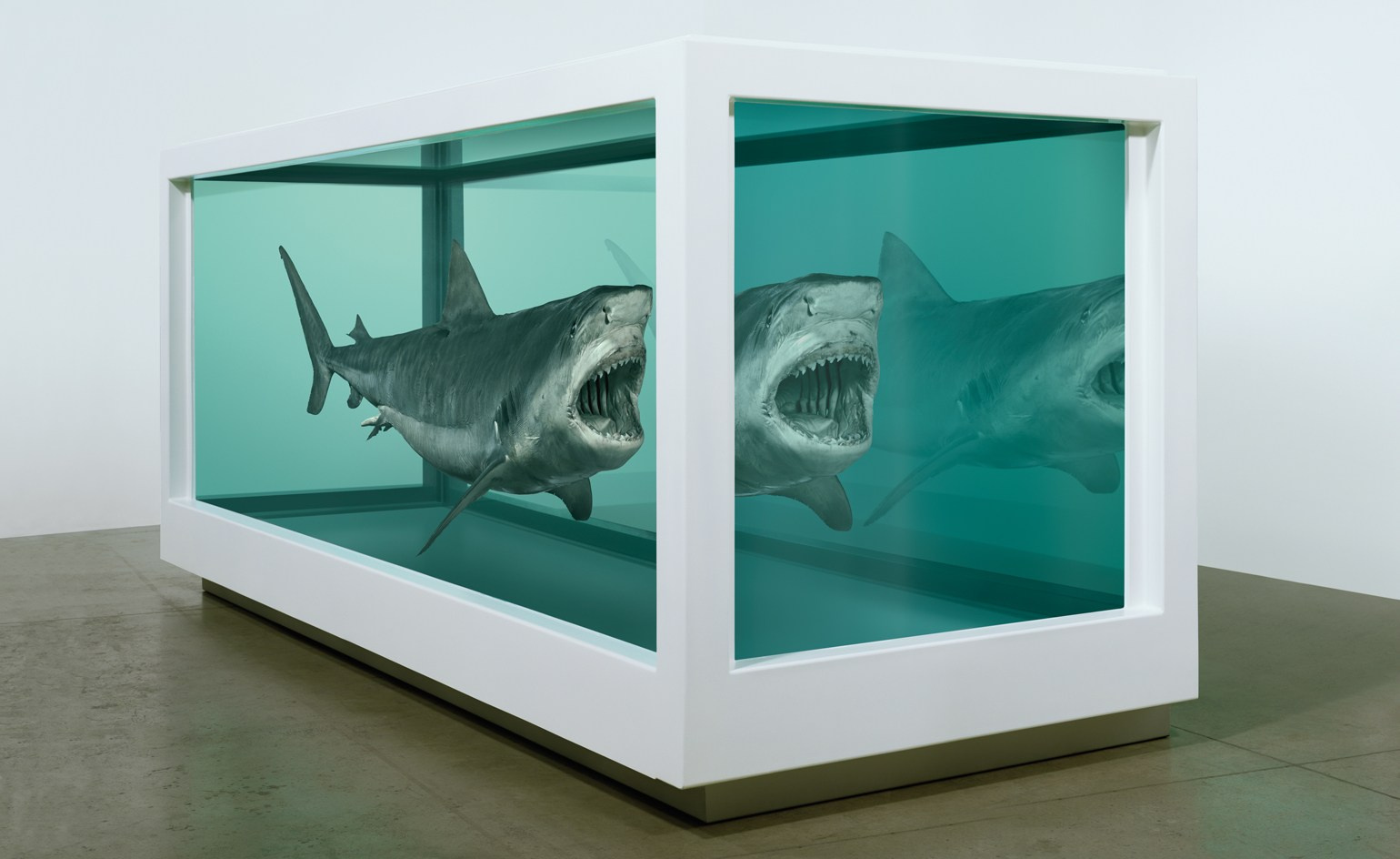 The Physical Impossibility of Death in the Mind of Someone Living (1991) — Damien Hirst Инсталляция Дэмиена Хёрста — тигровая акула в витрине с формалином, символизирующая страх смерти и хрупкость жизни. 