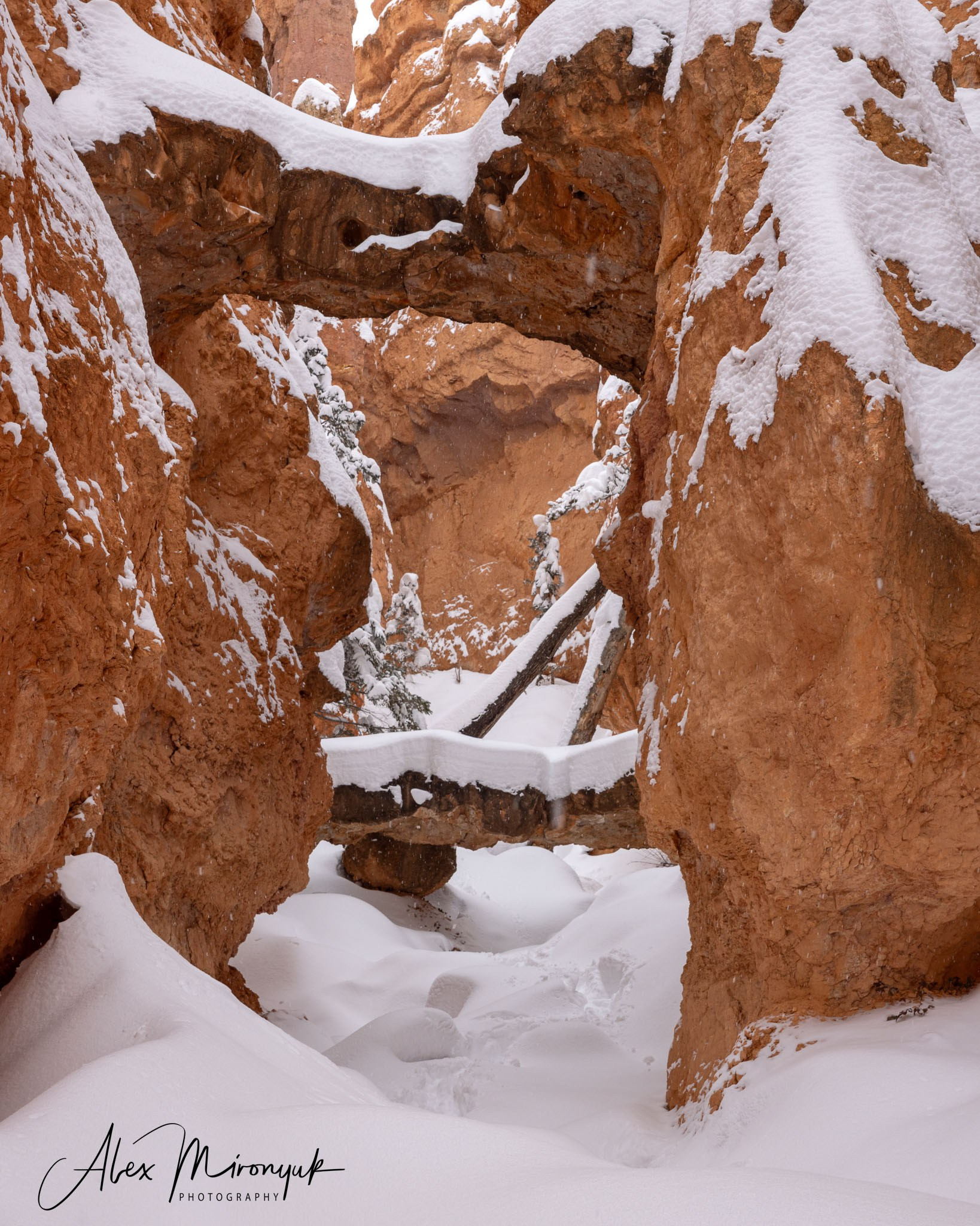 New Year In Utah. Pet, Senior, Landscape, portrait studio, photographer in Miami and Sou