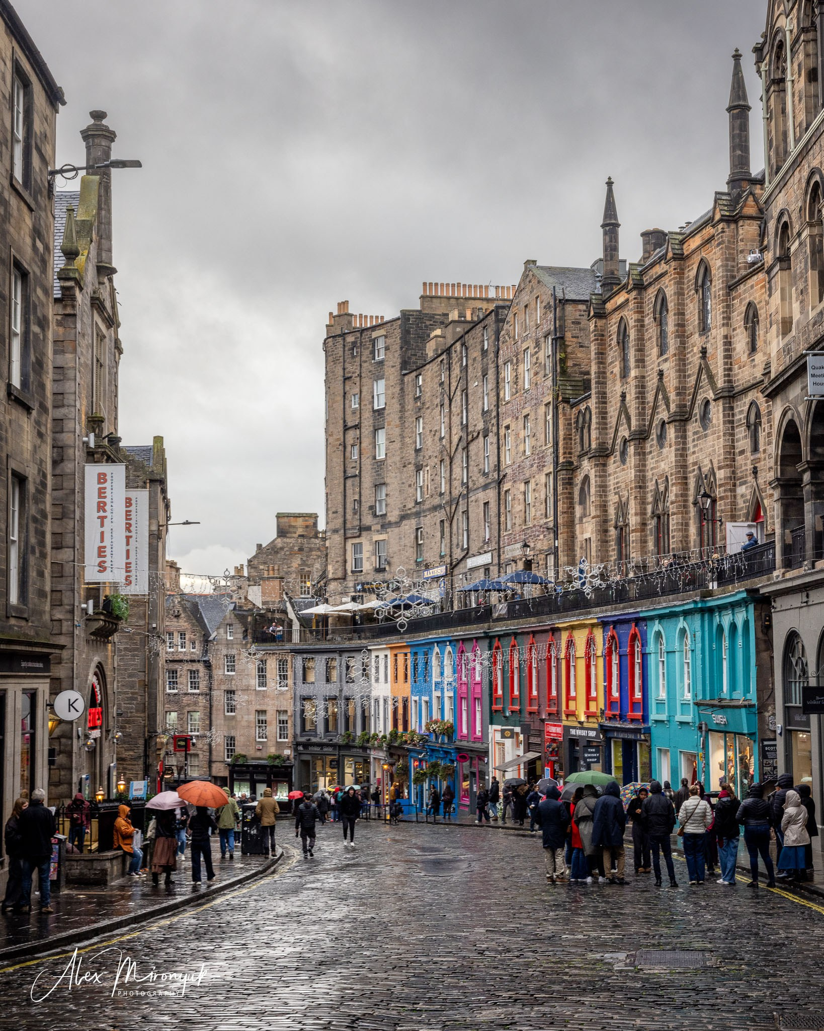 Scotland’s Highlands. Pet, Senior, Landscape, portrait studio, photographer in Miami and Sou