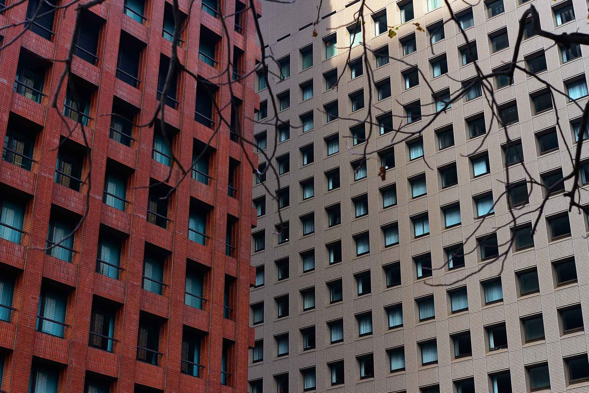 Tokyo Travel Photography Guide: Best Districts, Attractions & Tips