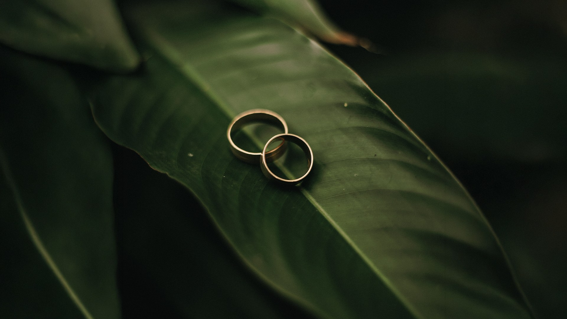 Casamentos. Denis Damasceno | Fotografia