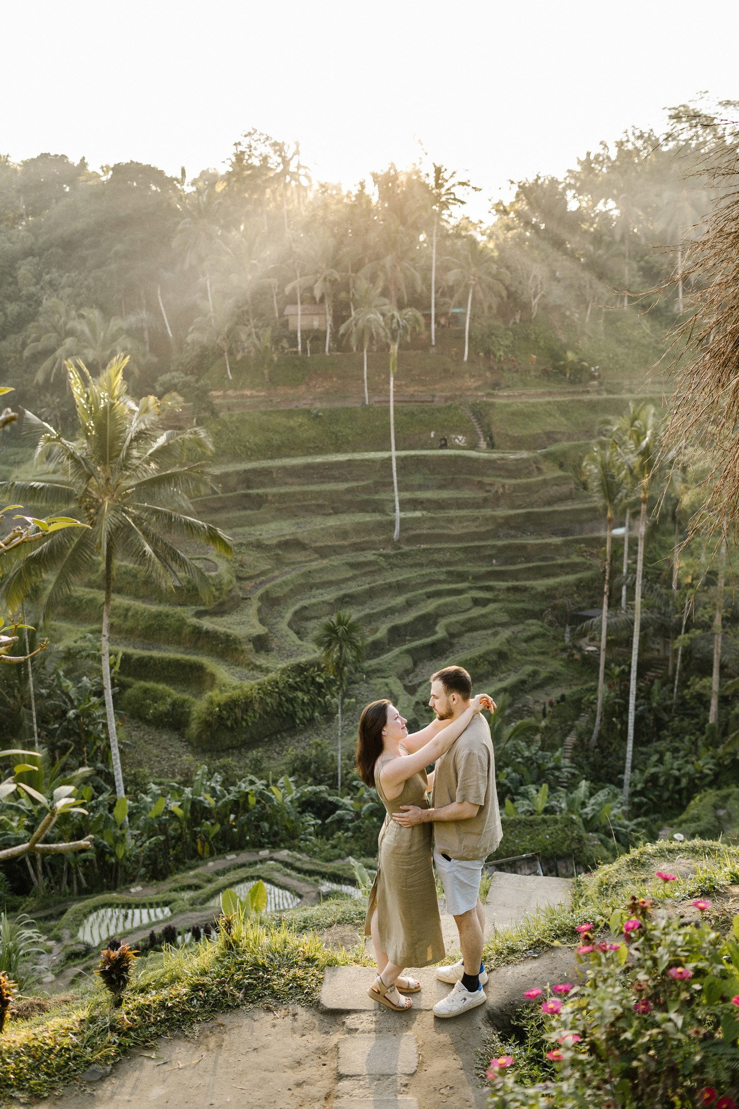 Rice Terraces