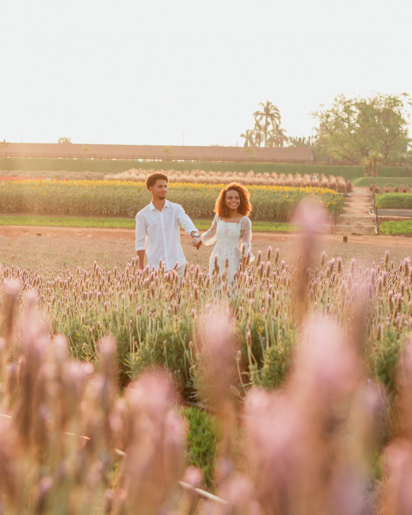 Joyce Maria Fotografia | Fotógrafa em Holambra