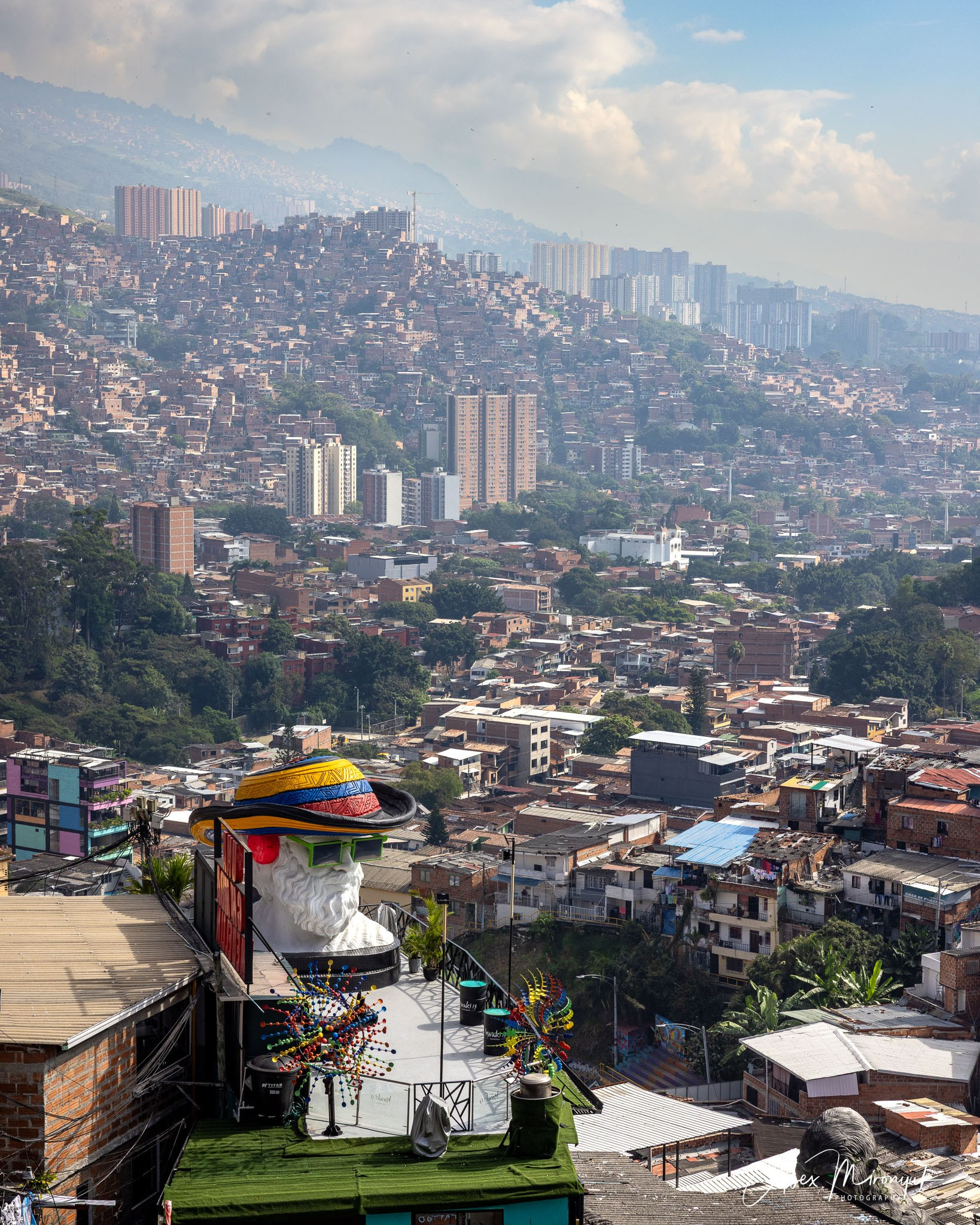 Colombia in Style. Pet, Senior, Landscape, portrait studio, photographer in Miami and Sou