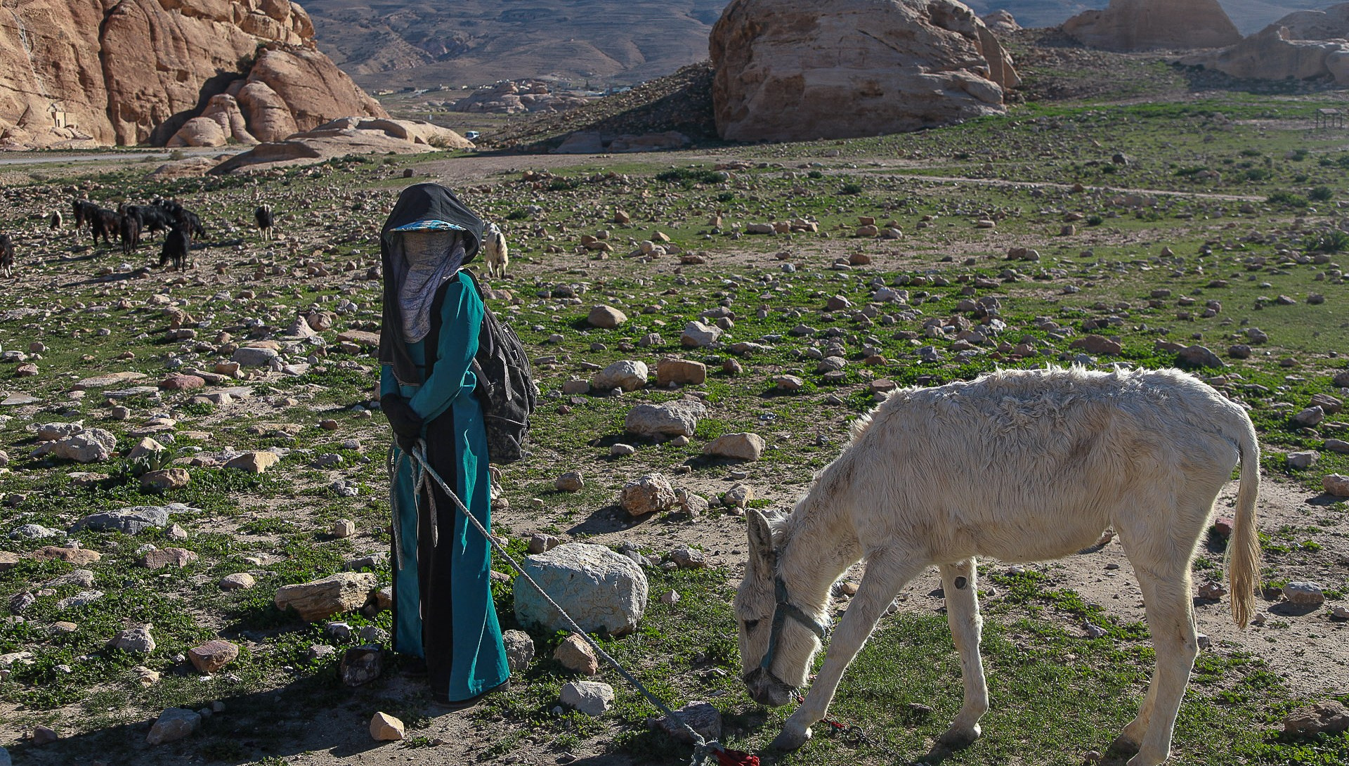 JORDANIE. Photographe Karen Tatevosian