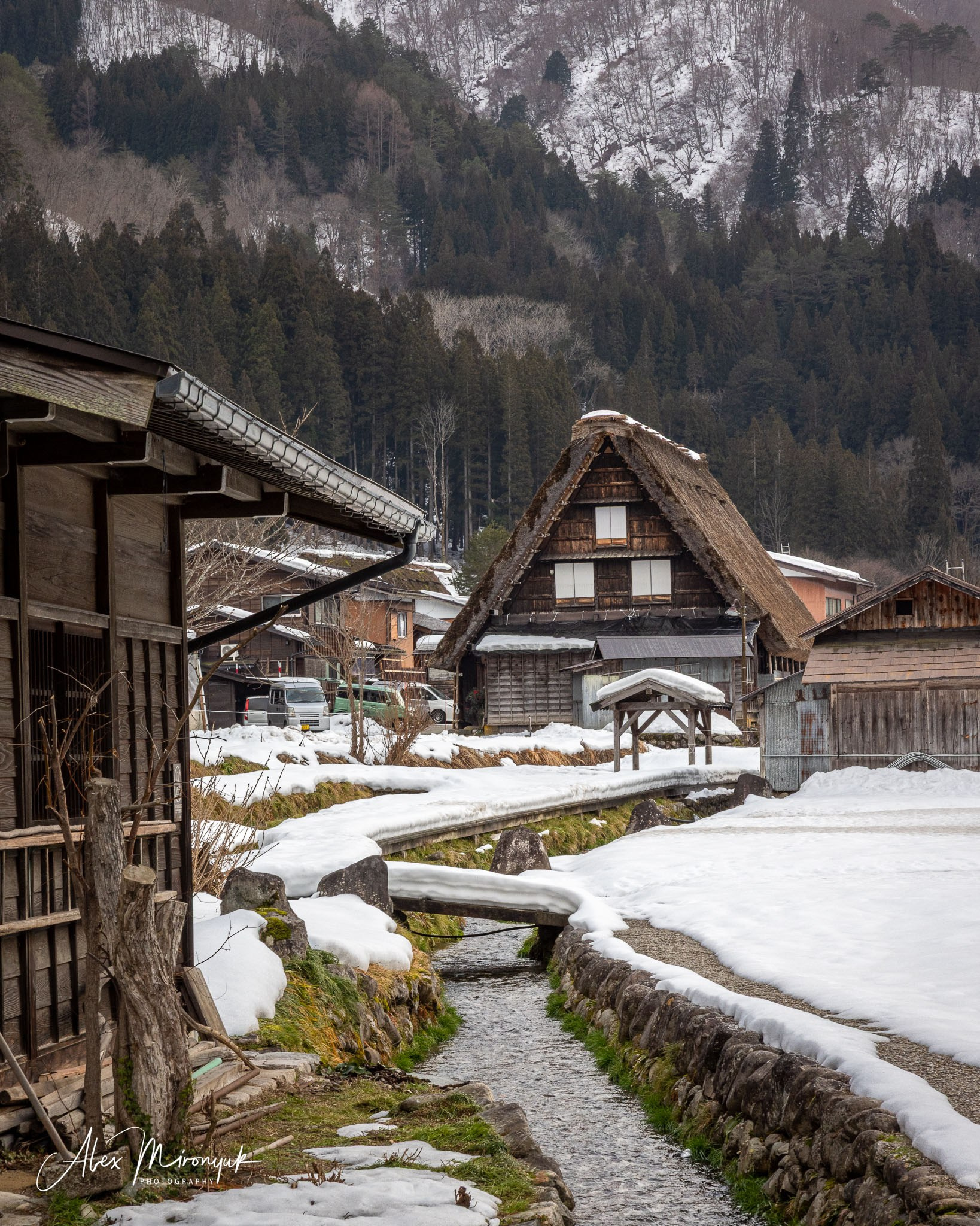 Winter Japan: Snow Monkeys, Castles & Timeless Villages. Pet, Senior, Landscape, portrait studio, photographer in Miami and Sou