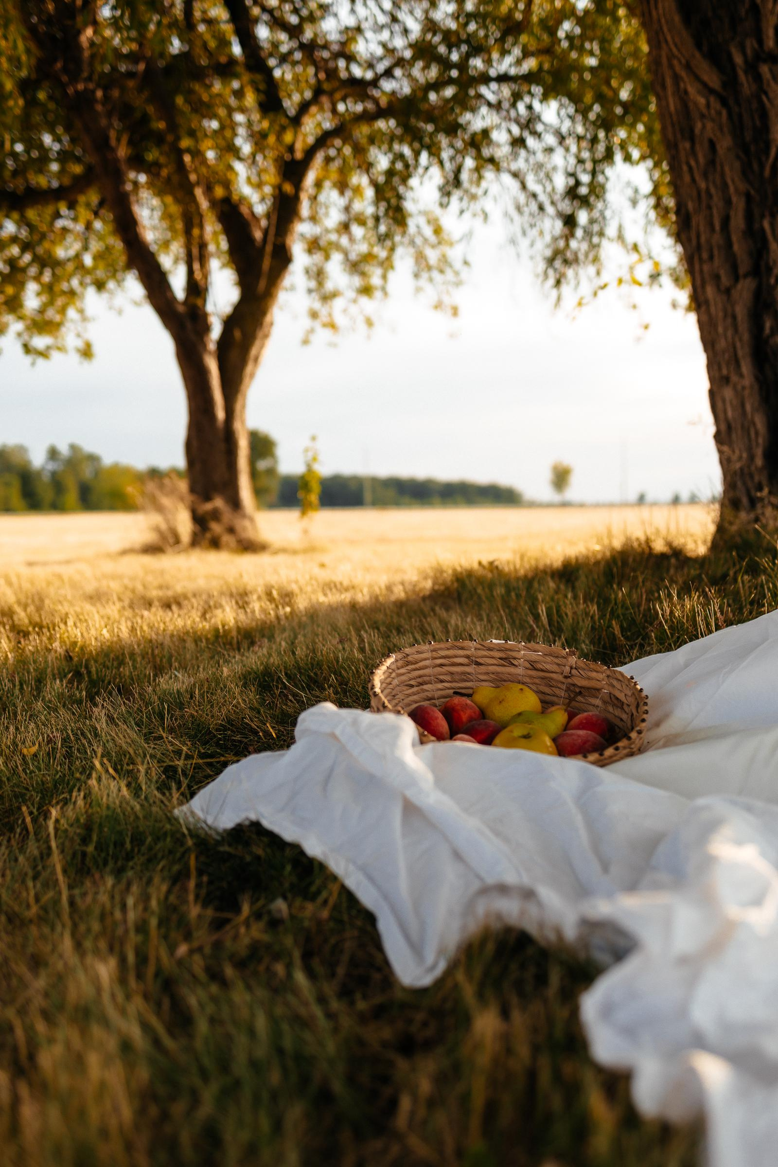 Естественный свет