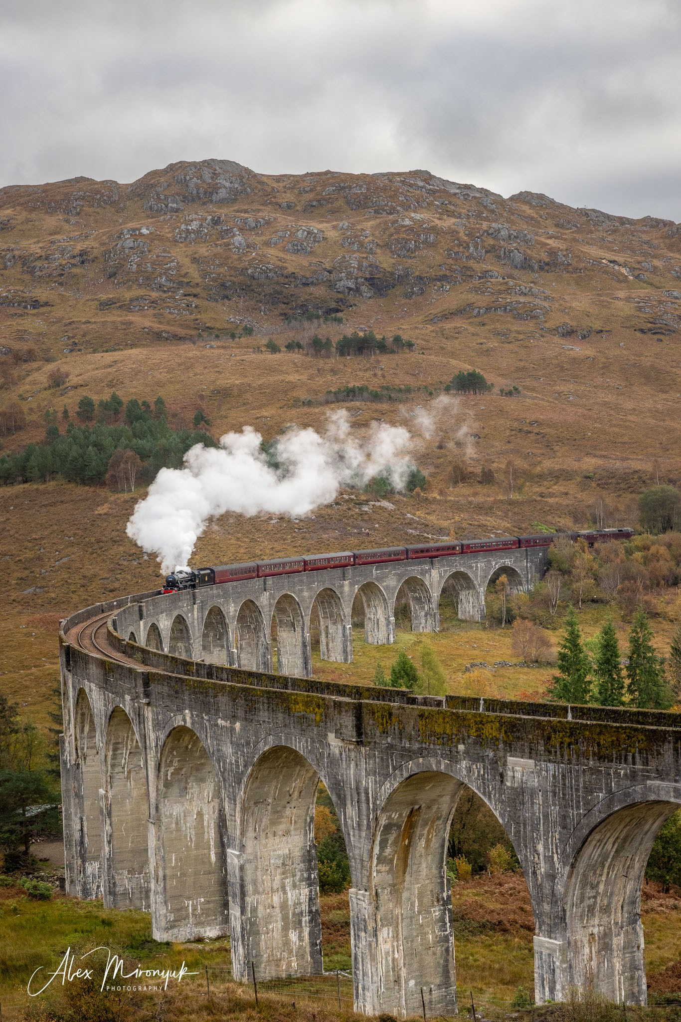 Scotland’s Highlands. Pet, Senior, Landscape, portrait studio, photographer in Miami and Sou