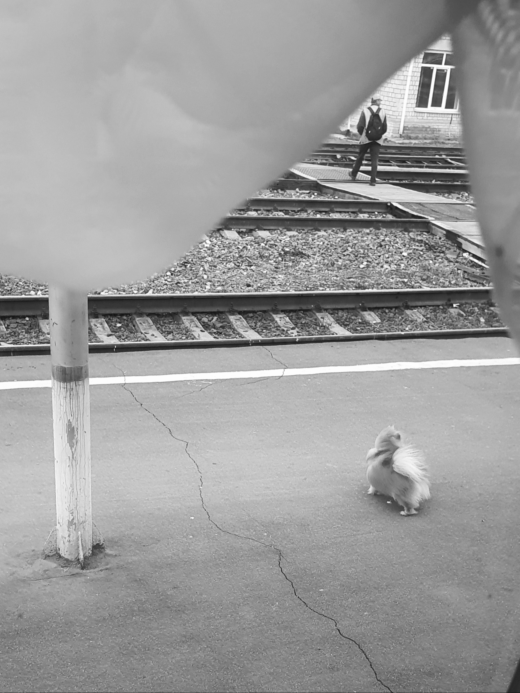 Street фото. Consultation on printing in various magazines, illustrations for books