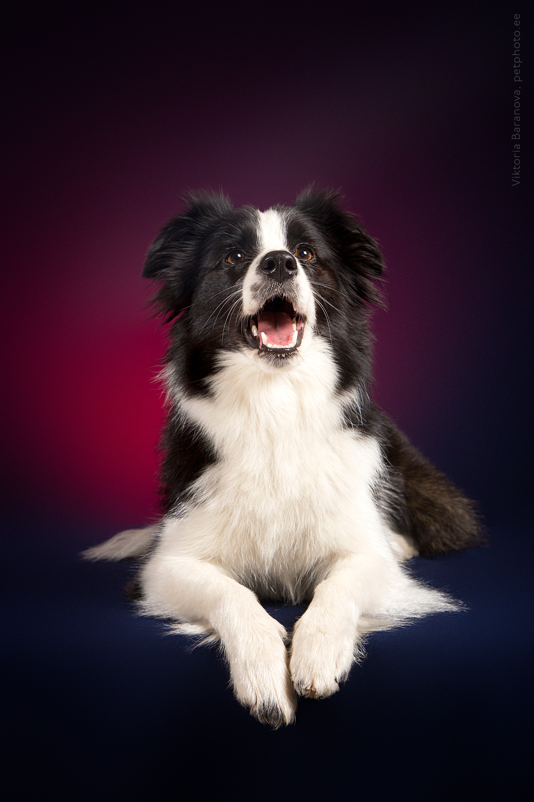 Jan (7 фото). Фотограф в Таллине Виктория Баранова |фотосессии и обучение / Photographer Viktoria Baranova