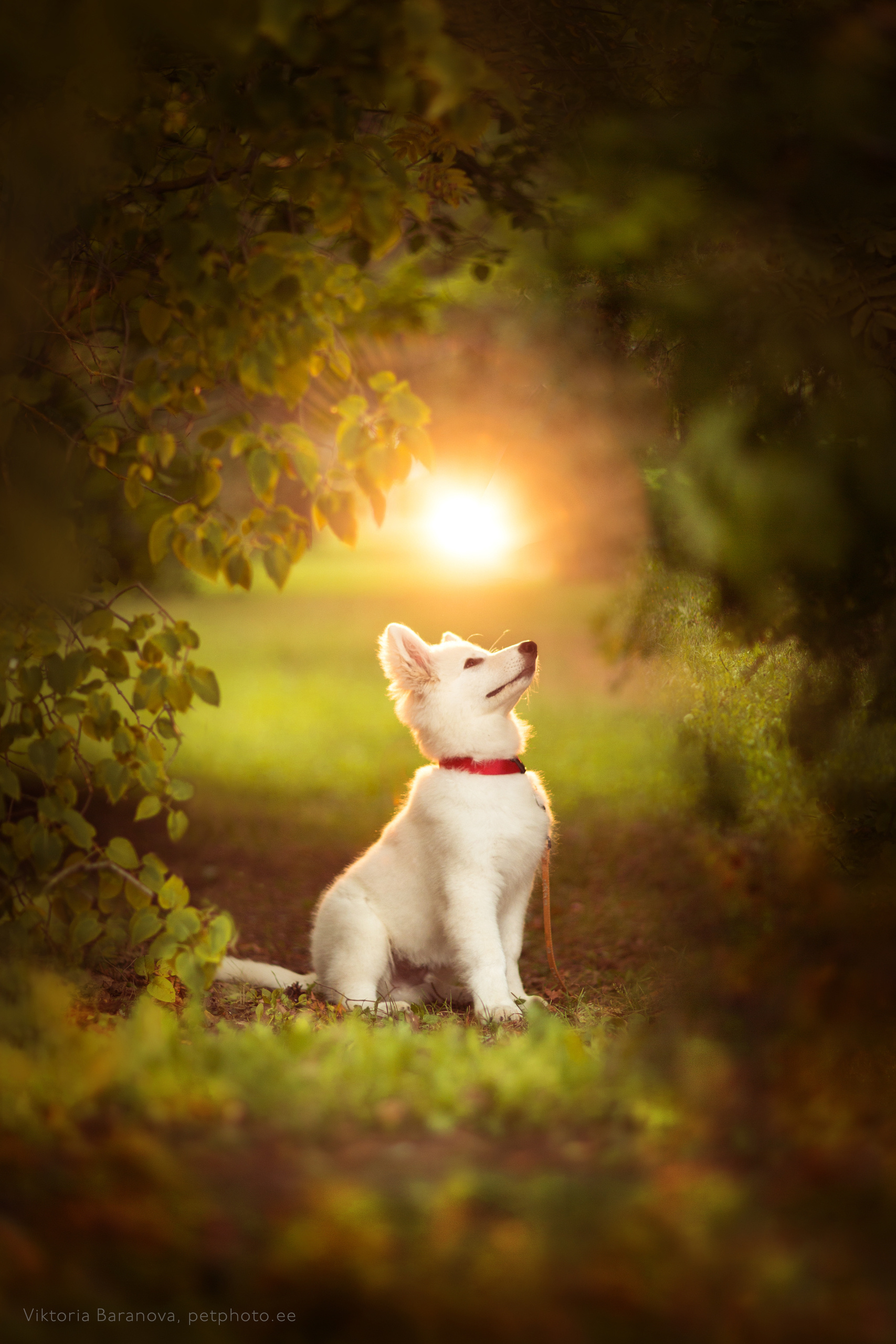 MK 1 (3 фото). Фотограф в Таллине Виктория Баранова |фотосессии и обучение / Photographer Viktoria Baranova